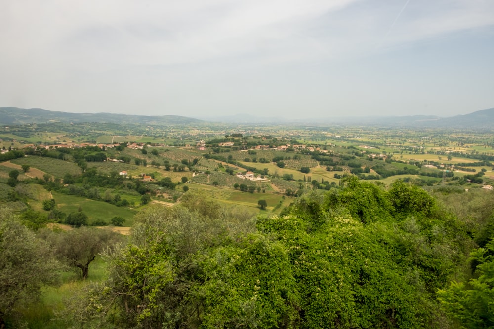 a view of a lush green valley surrounded by trees