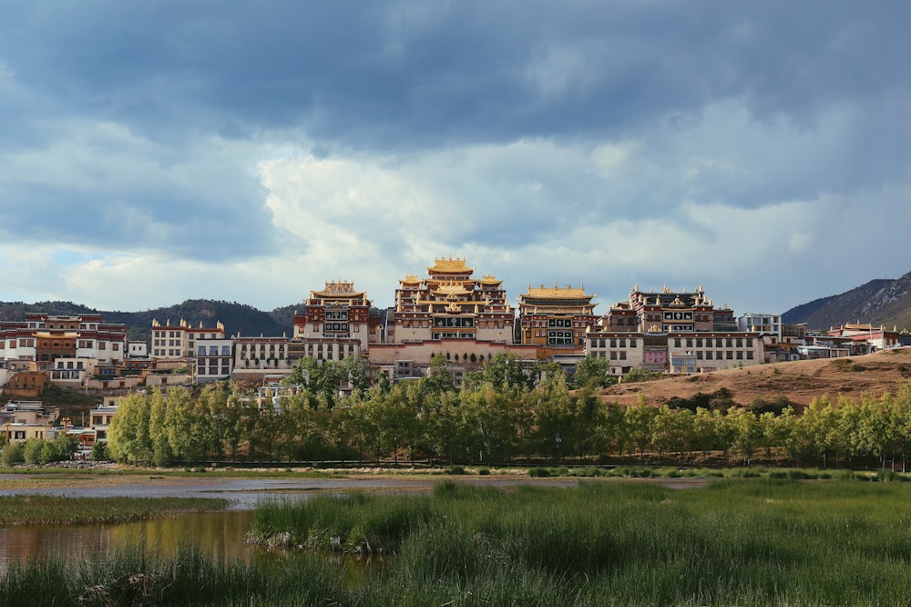 beige and brown building across marsh