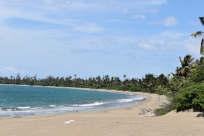 Beachfront pathway with golden sand and turquoise waters under a clear sky
