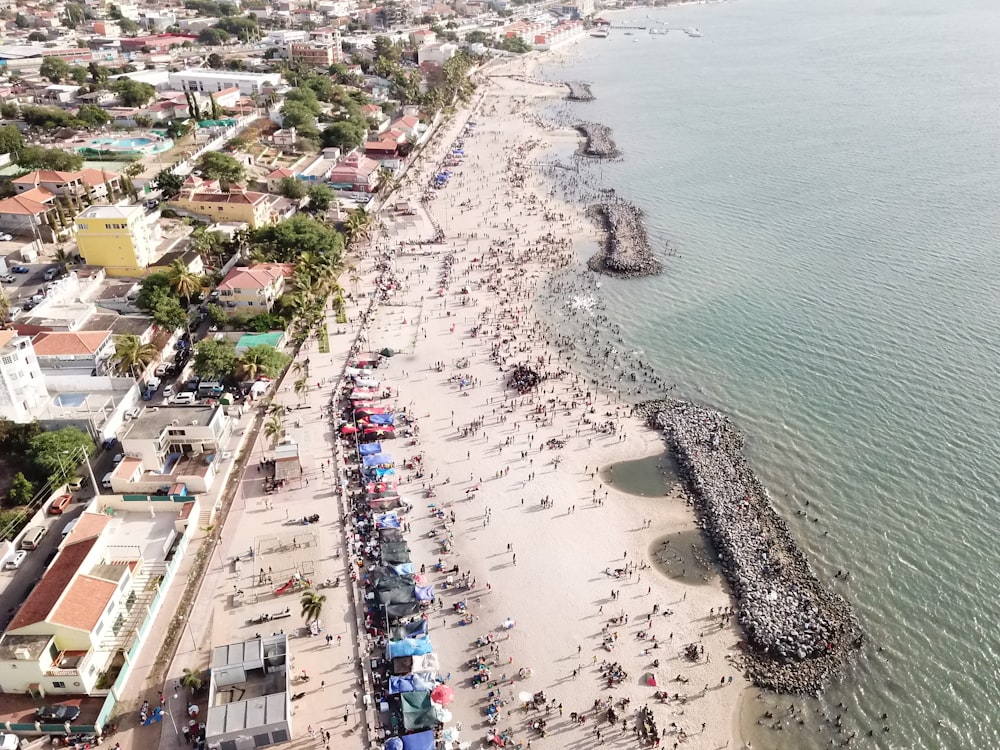 group of people on shore