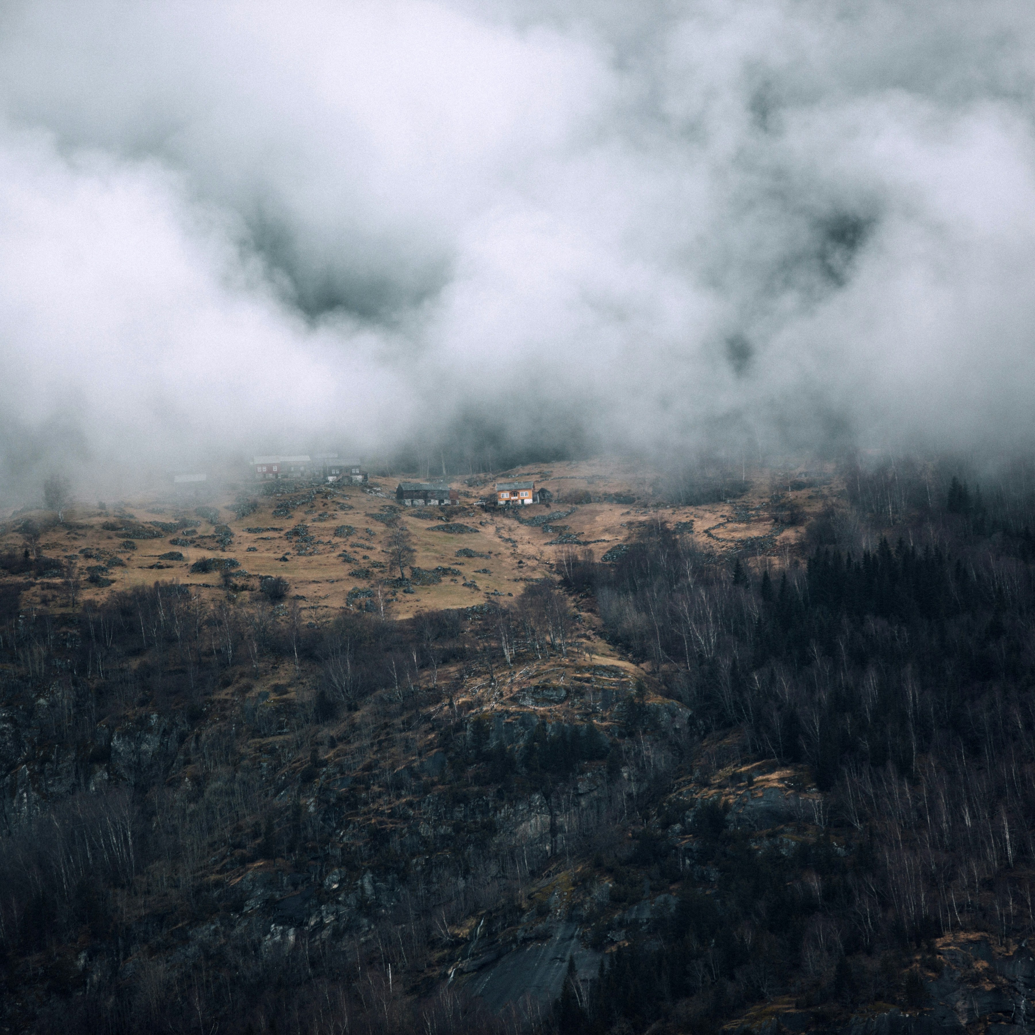 Photo by rachelfilmsthings