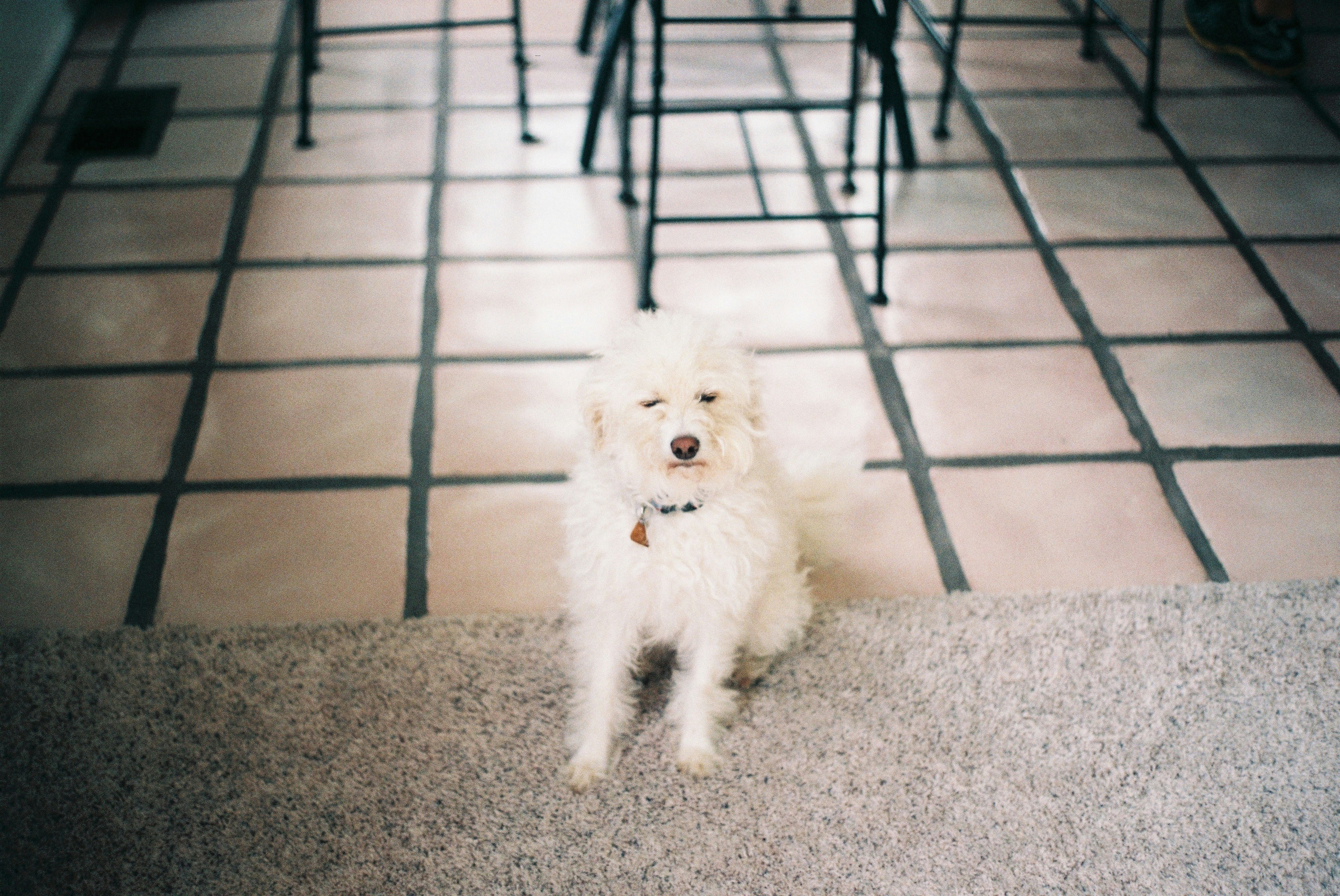 Wally'S Happy Hour Menu