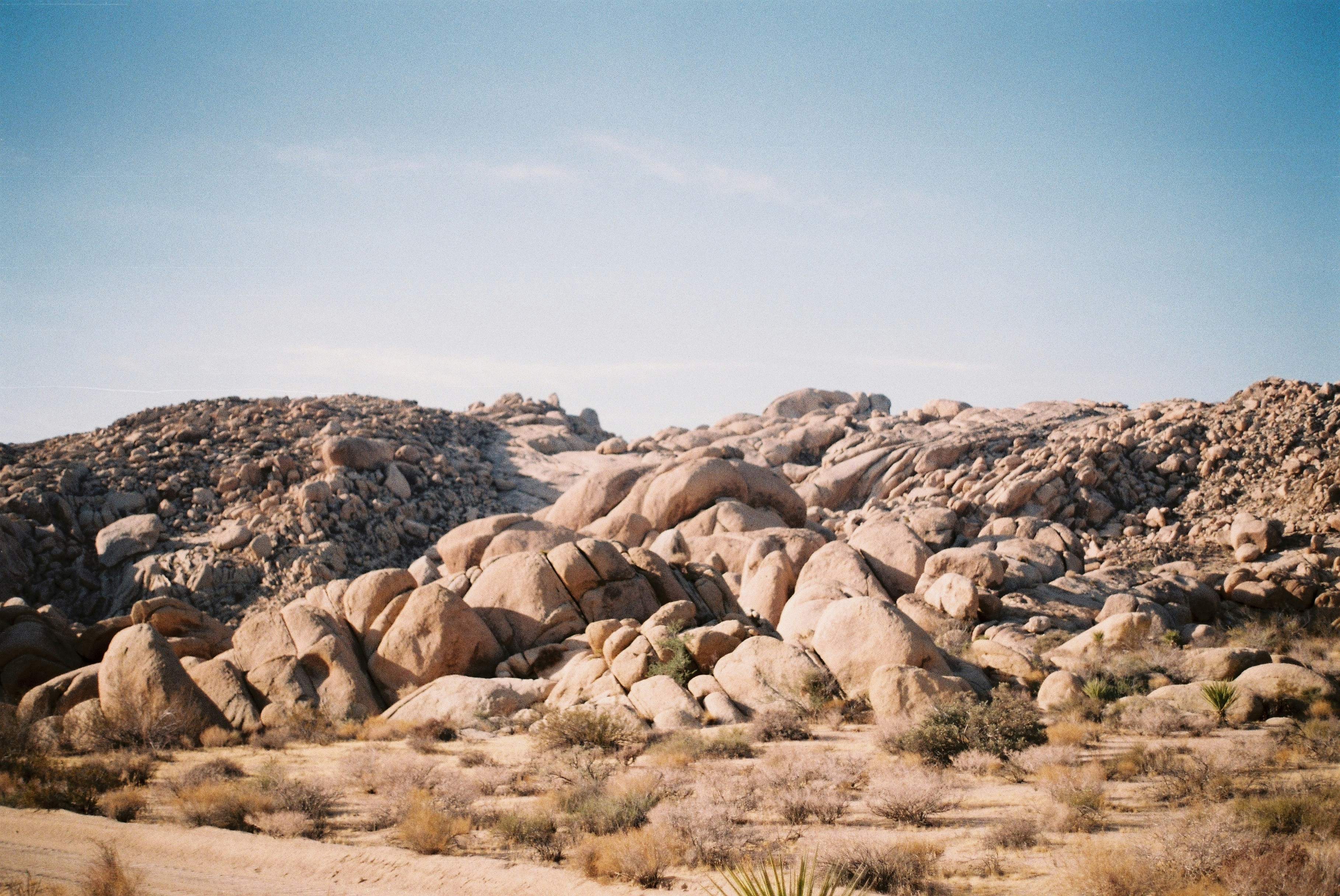 Photo by bhoogenboom