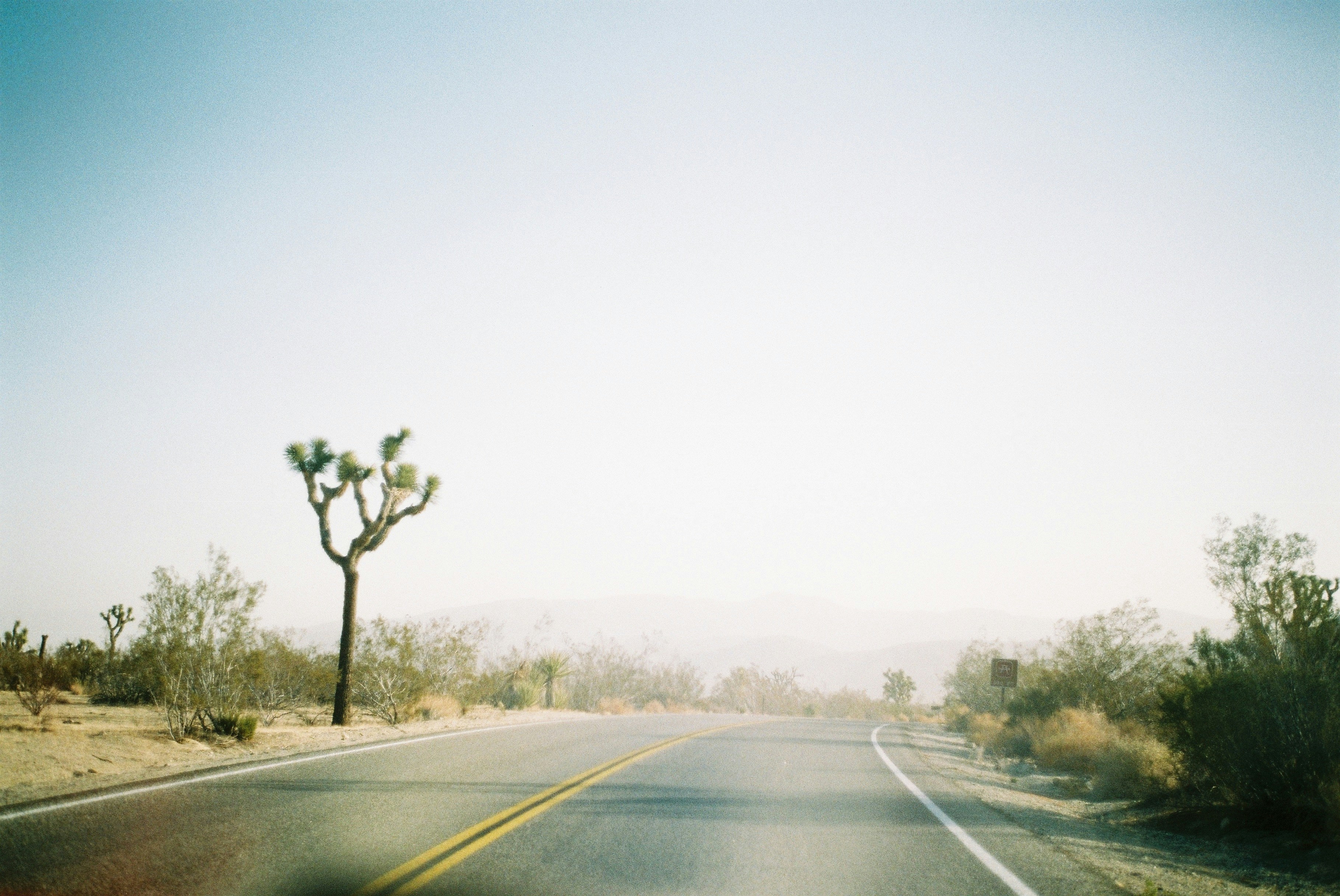 Photo by bhoogenboom