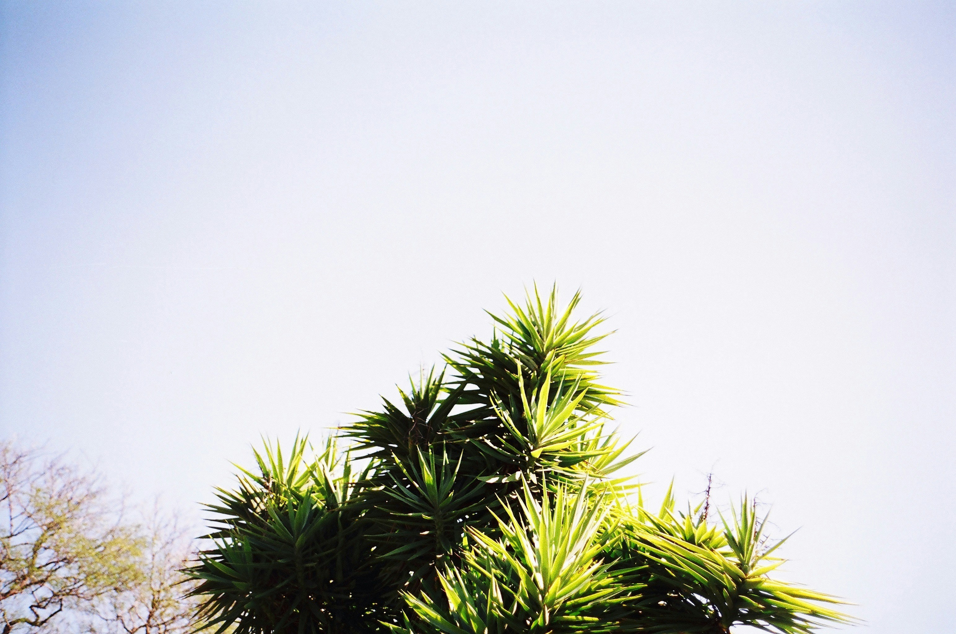 Photo by bhoogenboom