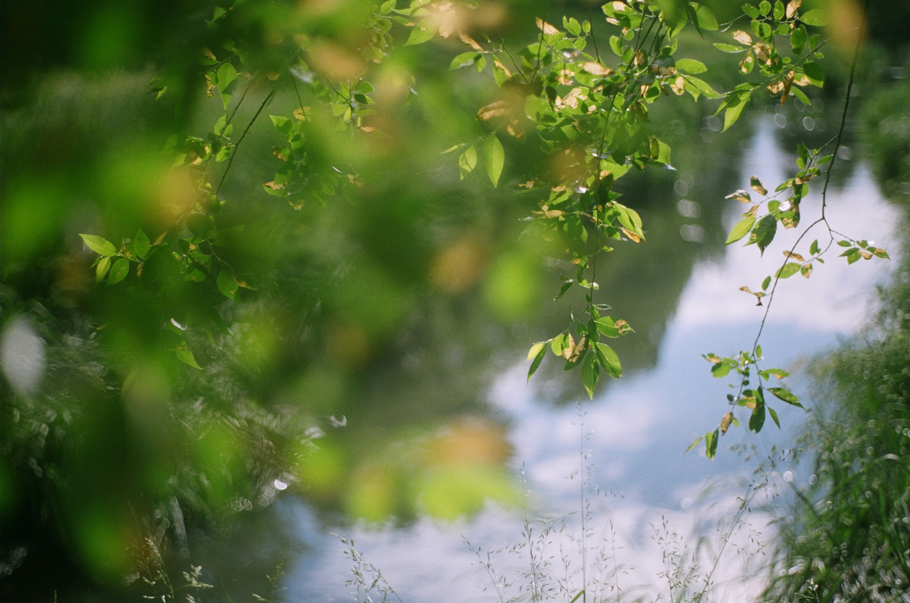 Photo by bhoogenboom