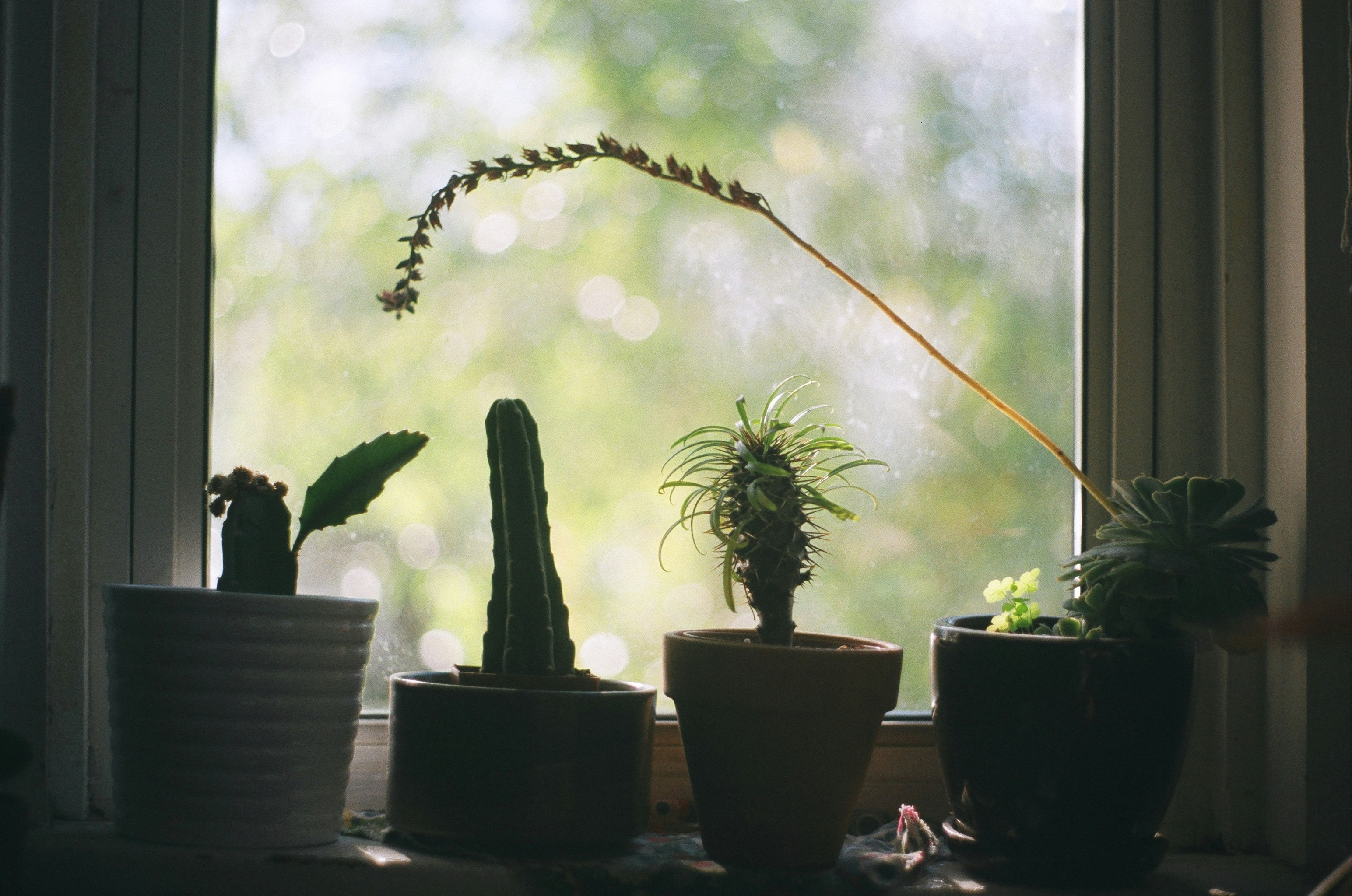 Photo by bhoogenboom