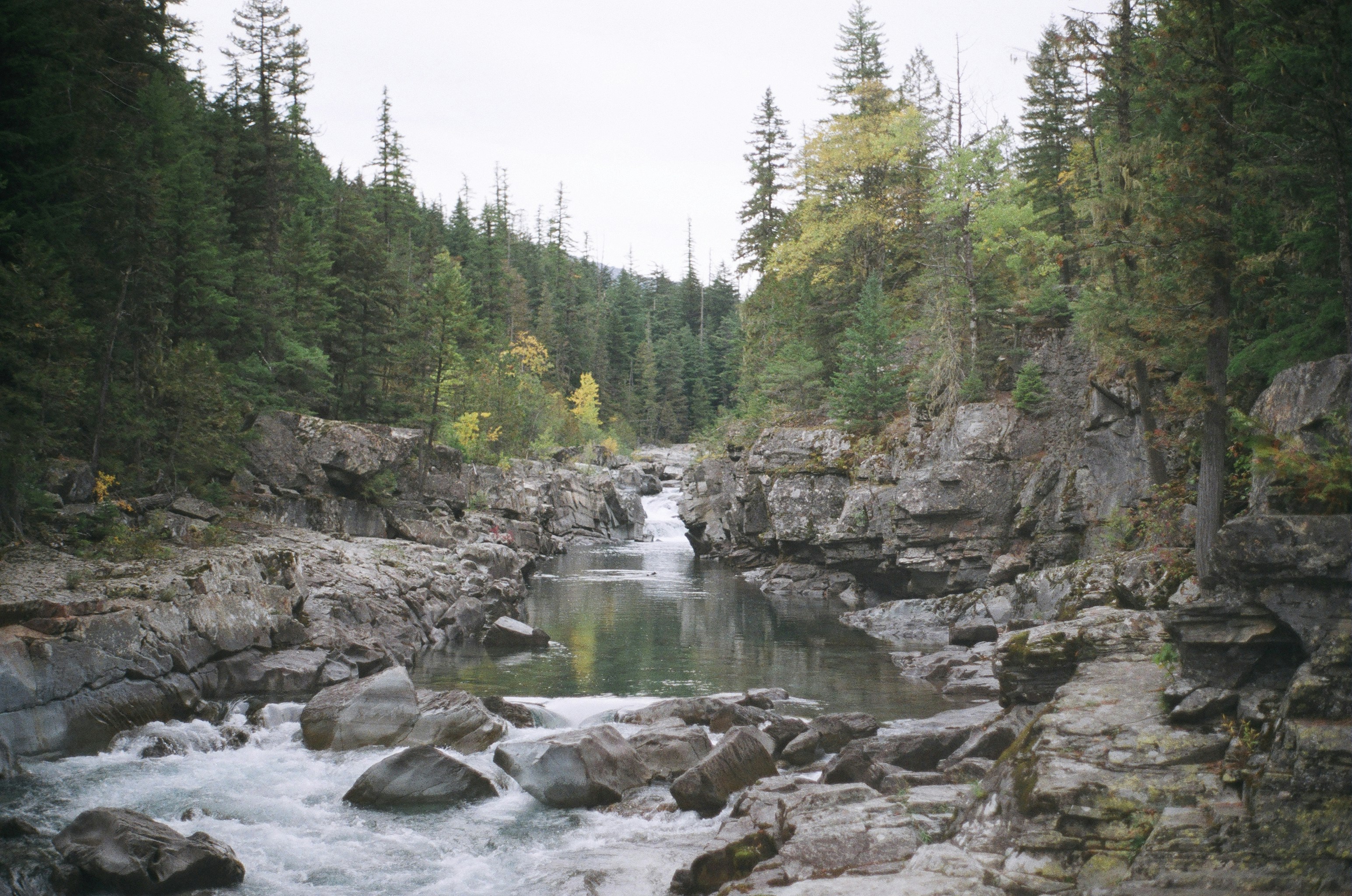 Photo by bhoogenboom