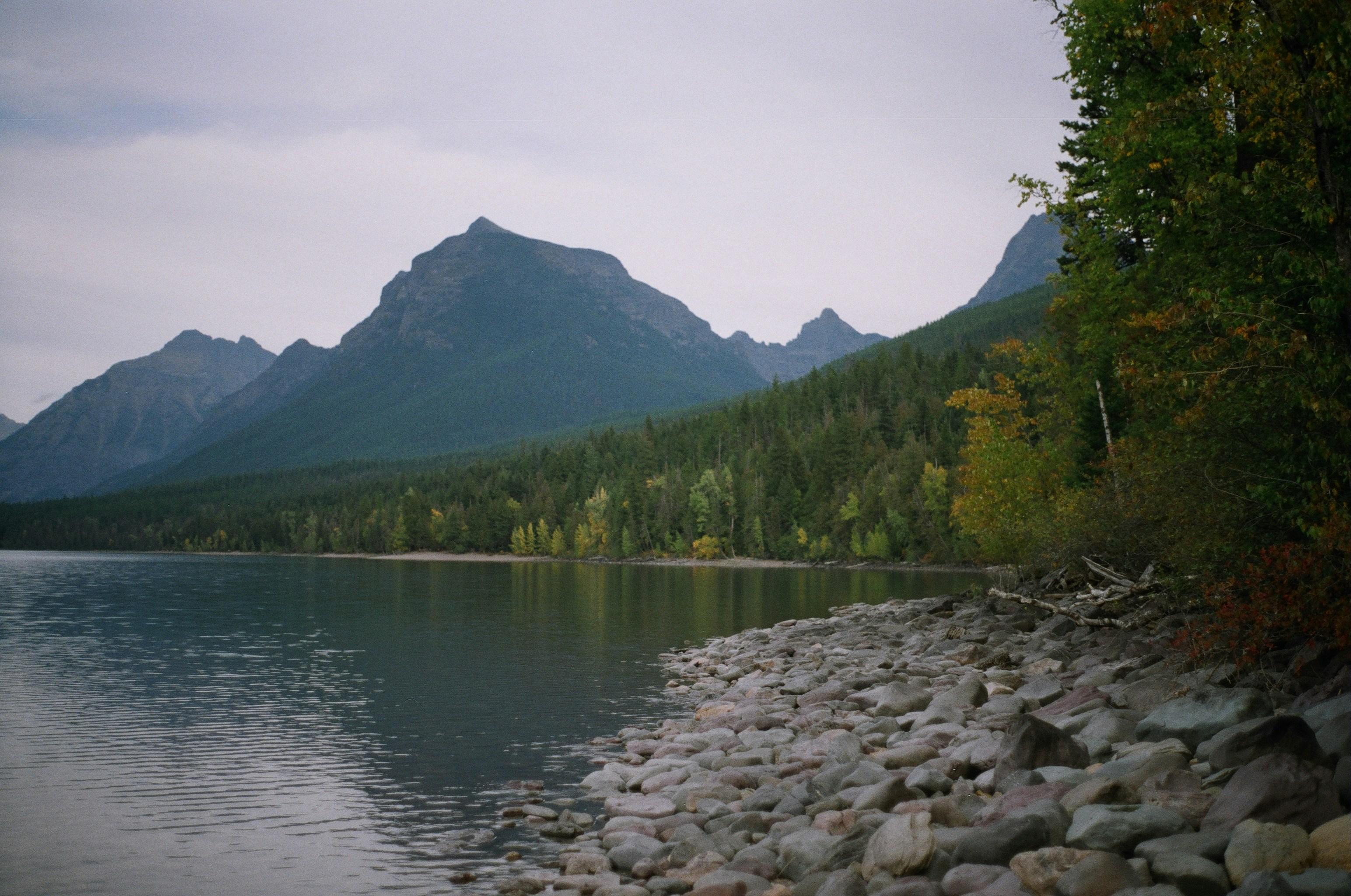 Photo by bhoogenboom