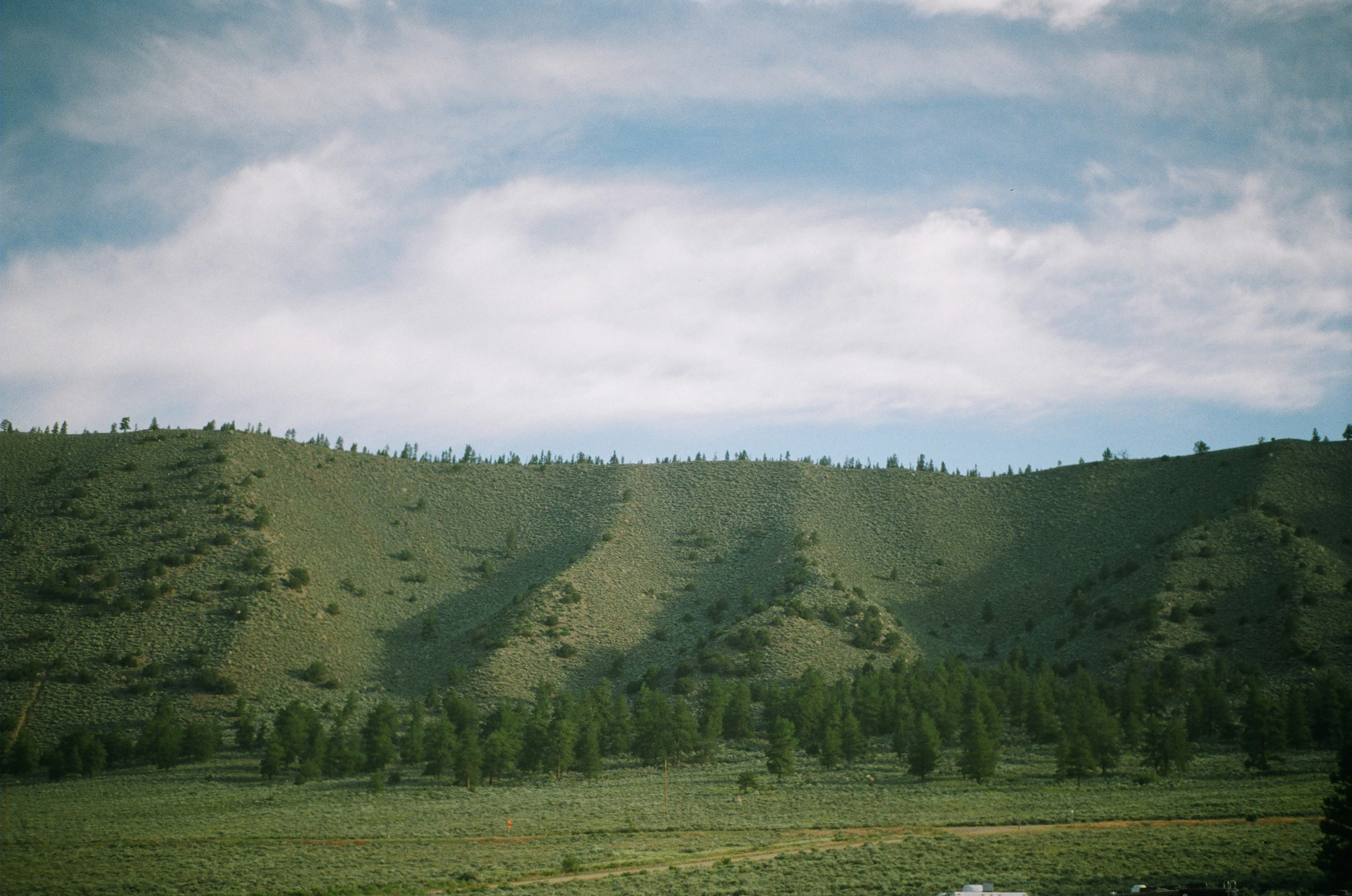 Photo by bhoogenboom