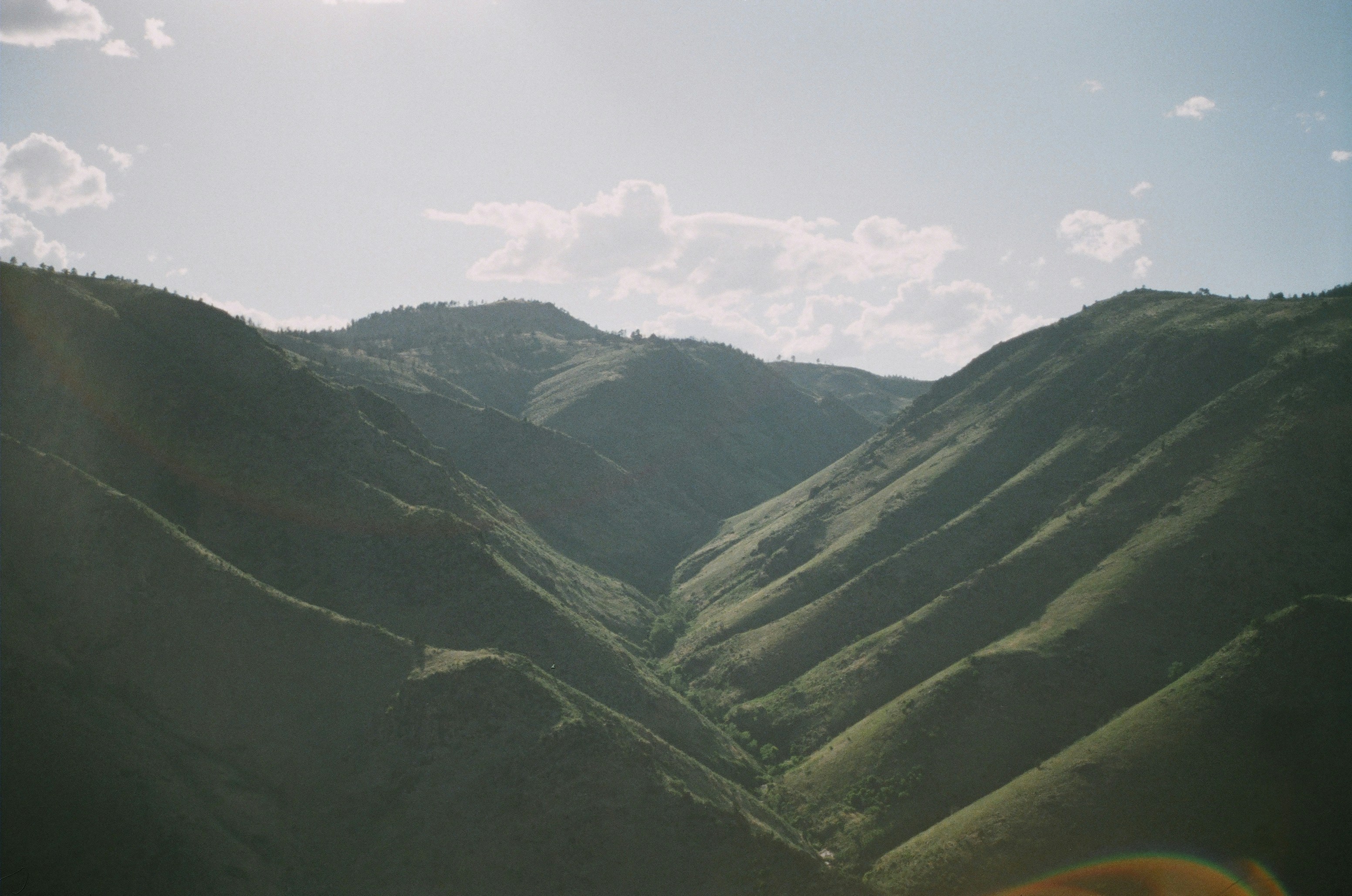 Photo by bhoogenboom