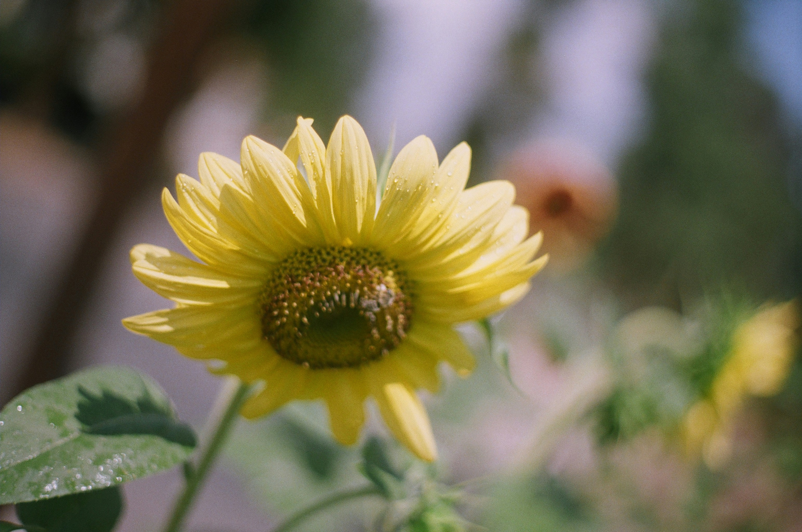 Photo by bhoogenboom