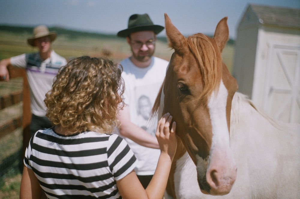 white and brown horse