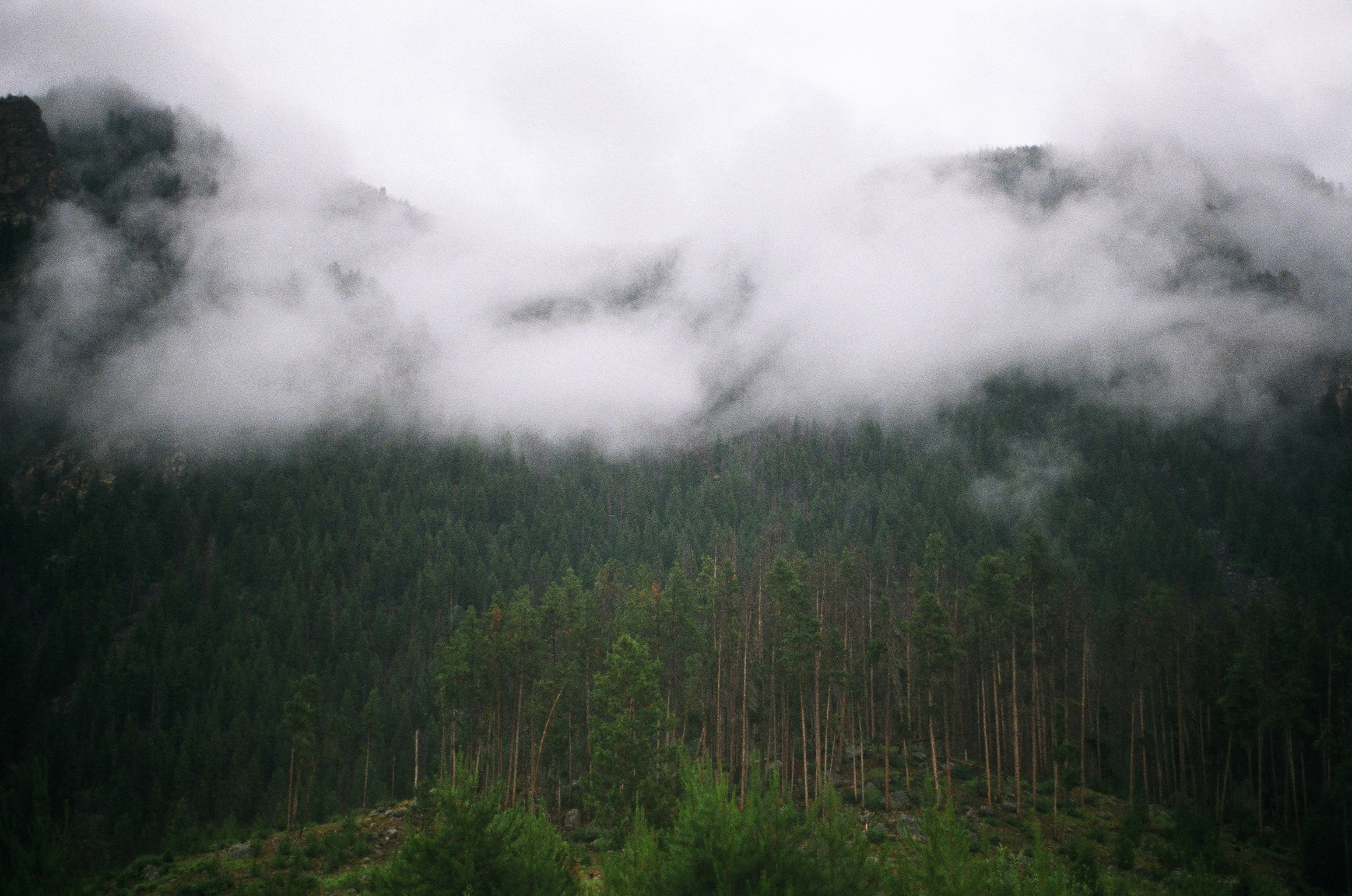 Photo by bhoogenboom