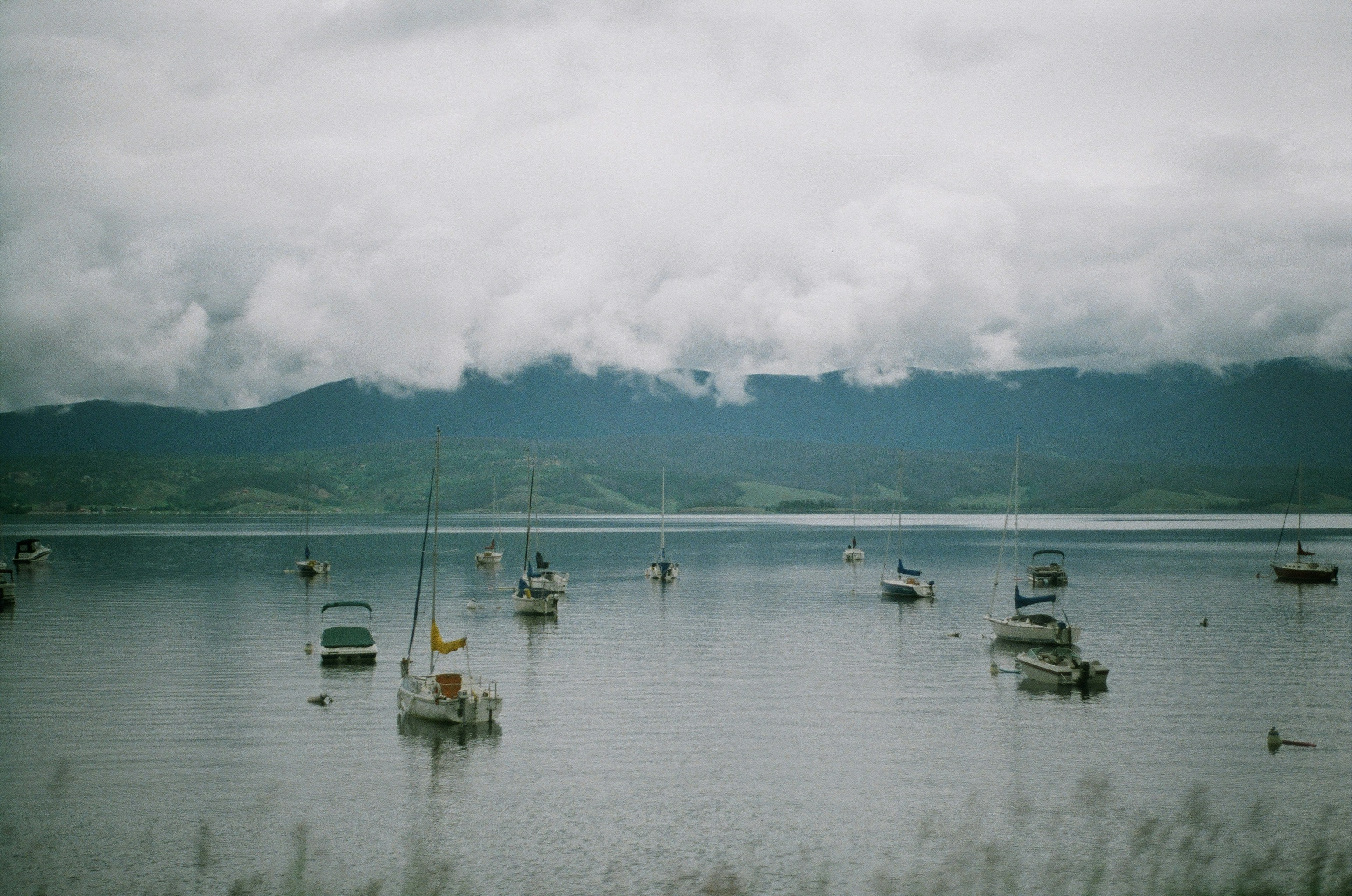 Photo by bhoogenboom