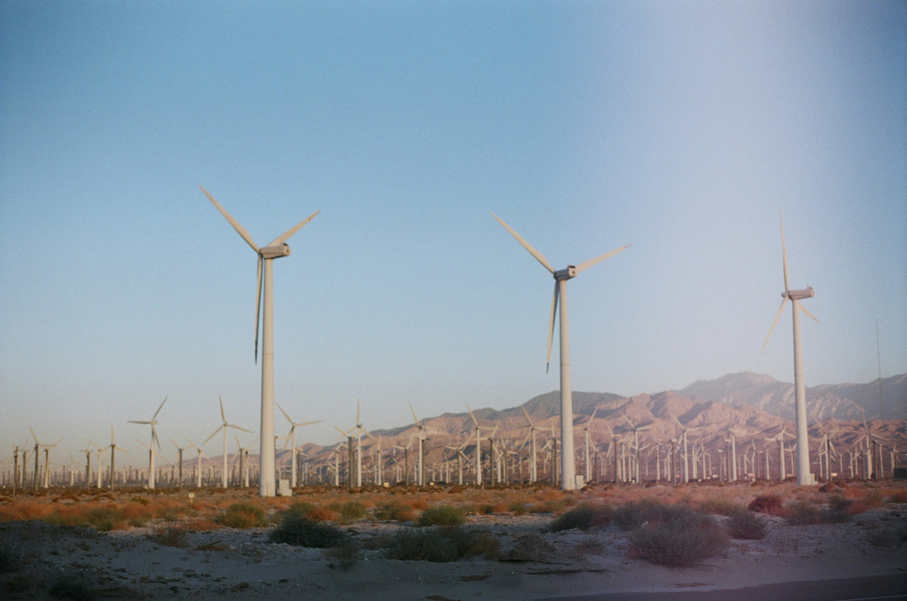 Photo by bhoogenboom