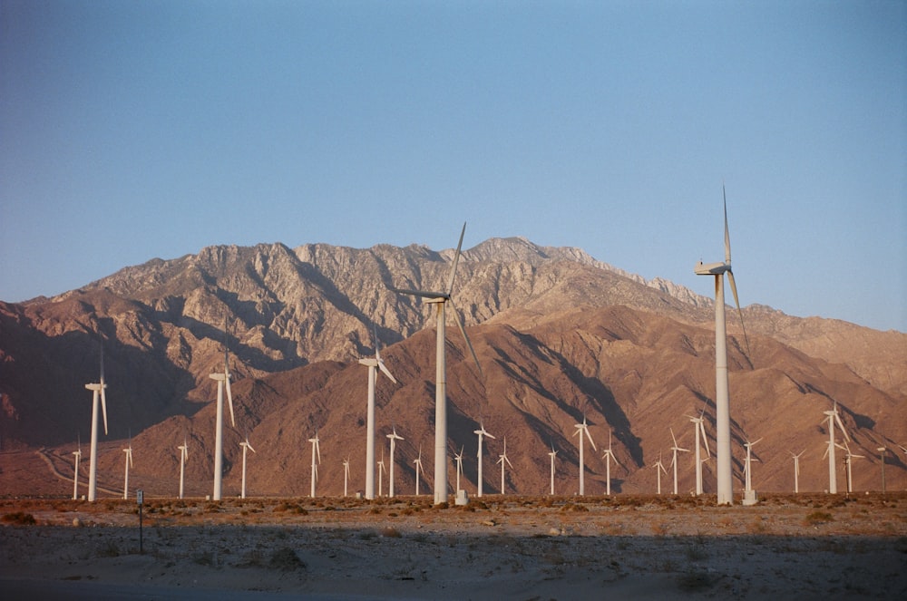 windmills under blue sky