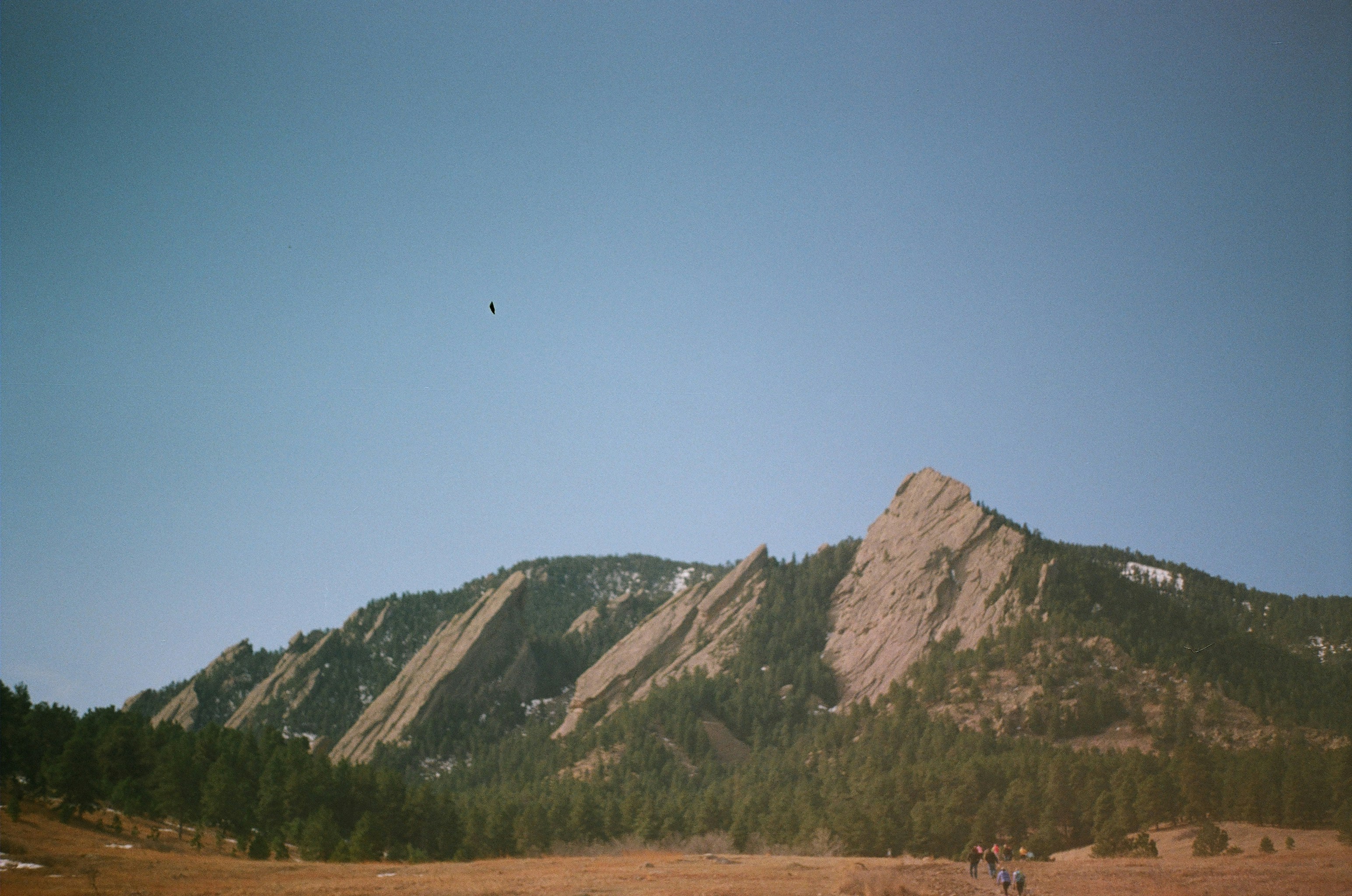 landscape photo of field and mountain