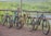 Four mountain bikes are lined up in a row on a dirt path next to a rustic, wooden fence. The background features a lush, green forest with a glimpse of a serene body of water, suggesting a natural and peaceful outdoor setting.