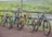 Four mountain bikes are lined up in a row on a dirt path next to a rustic, wooden fence. The background features a lush, green forest with a glimpse of a serene body of water, suggesting a natural and peaceful outdoor setting.
