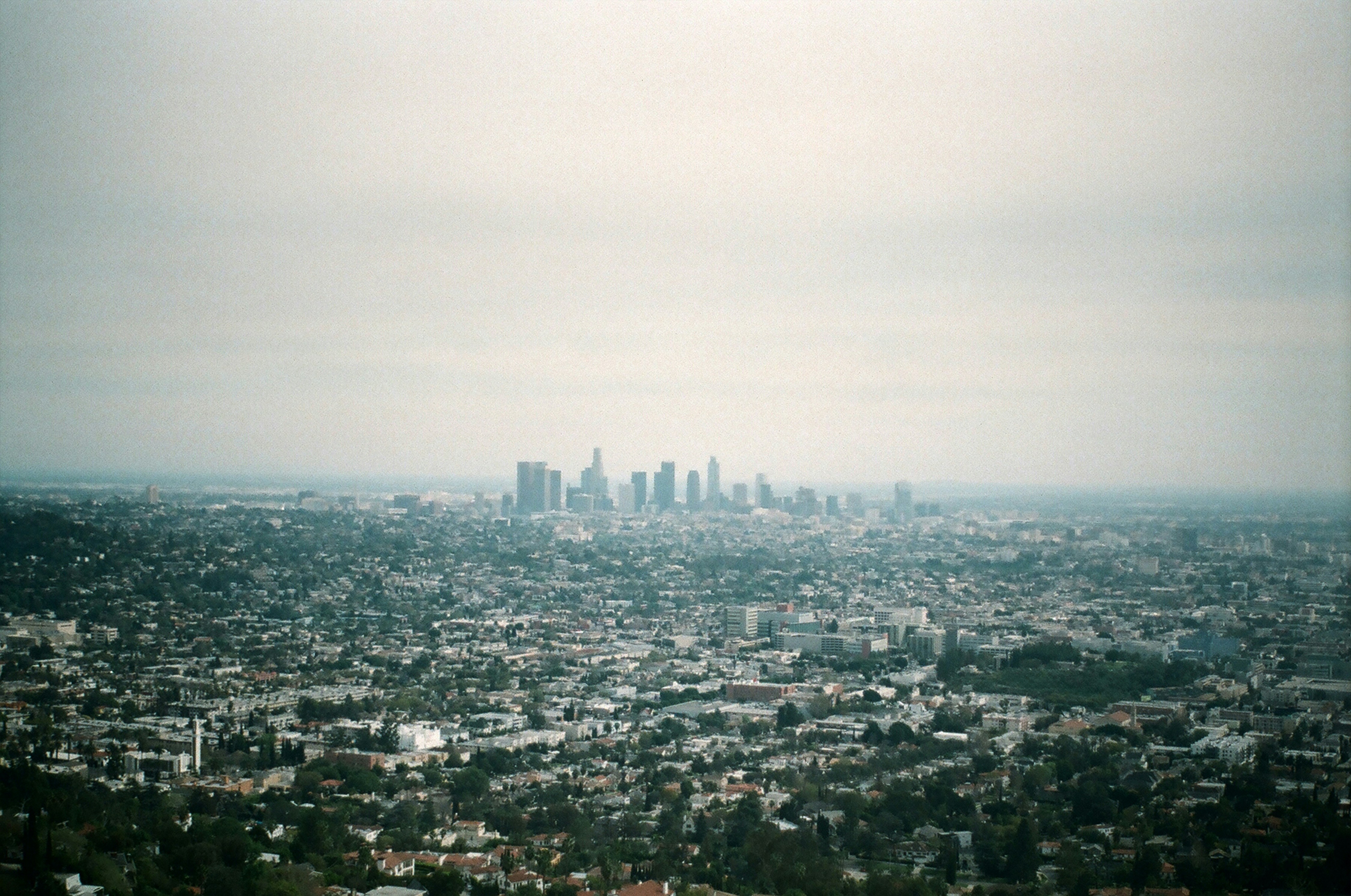 Photo by bhoogenboom