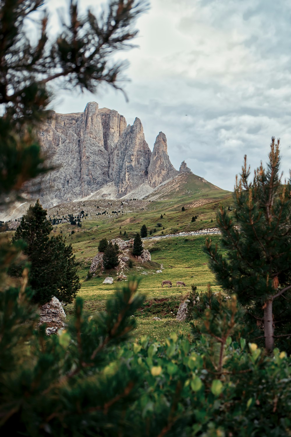 brown butte in hills