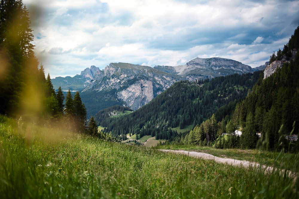 pathway between grass near mountain