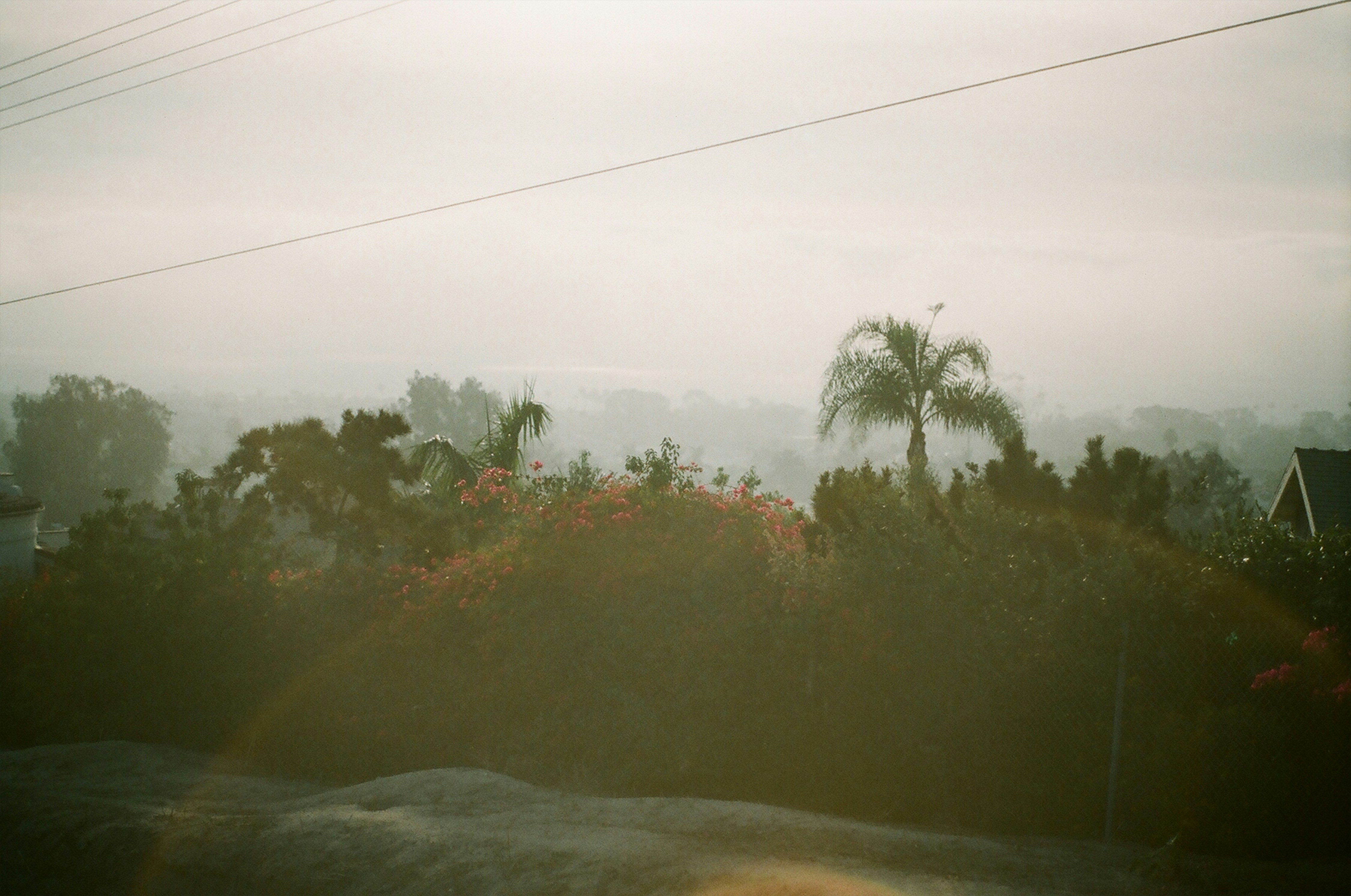 Photo by bhoogenboom
