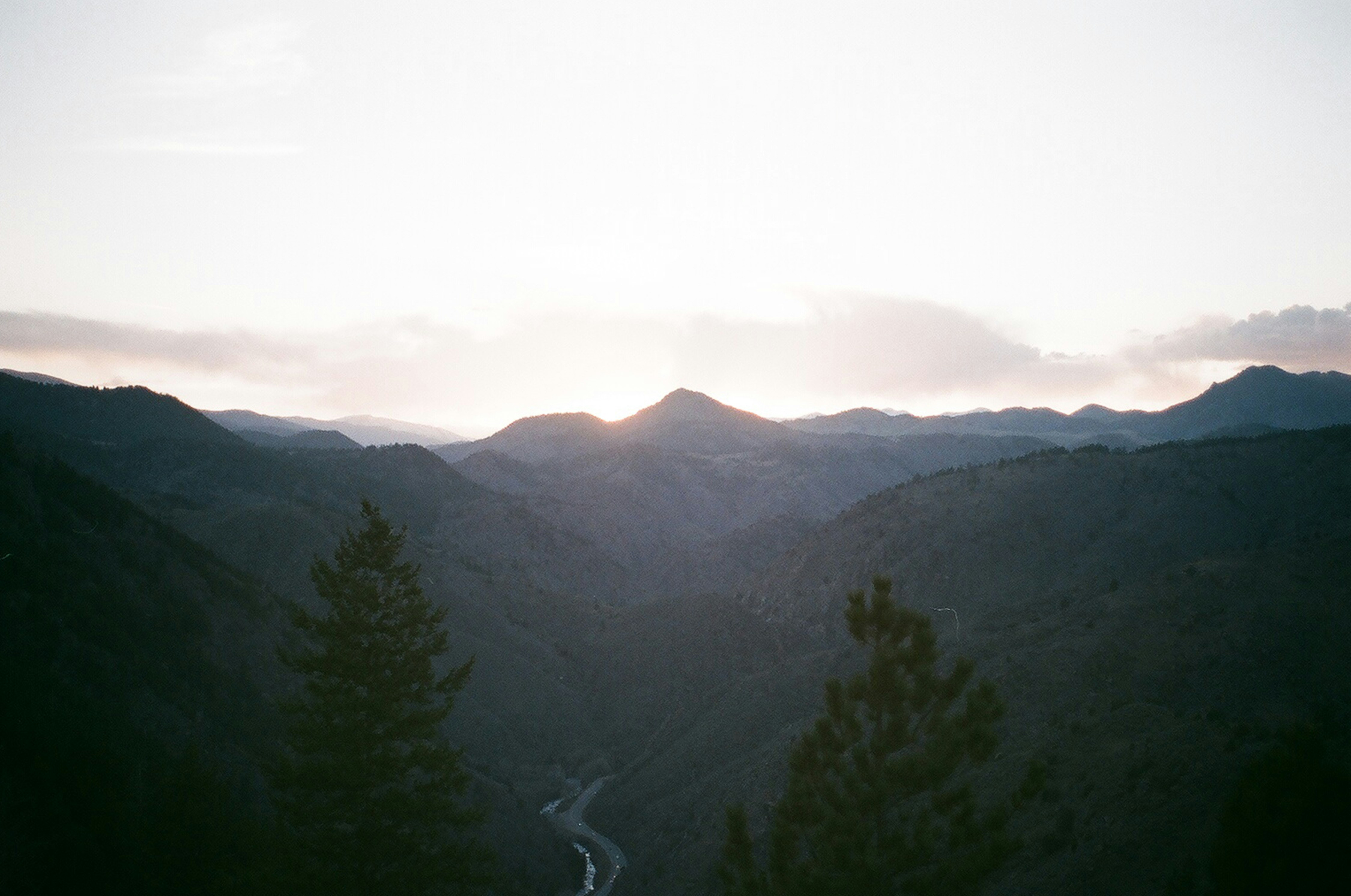 Photo by bhoogenboom