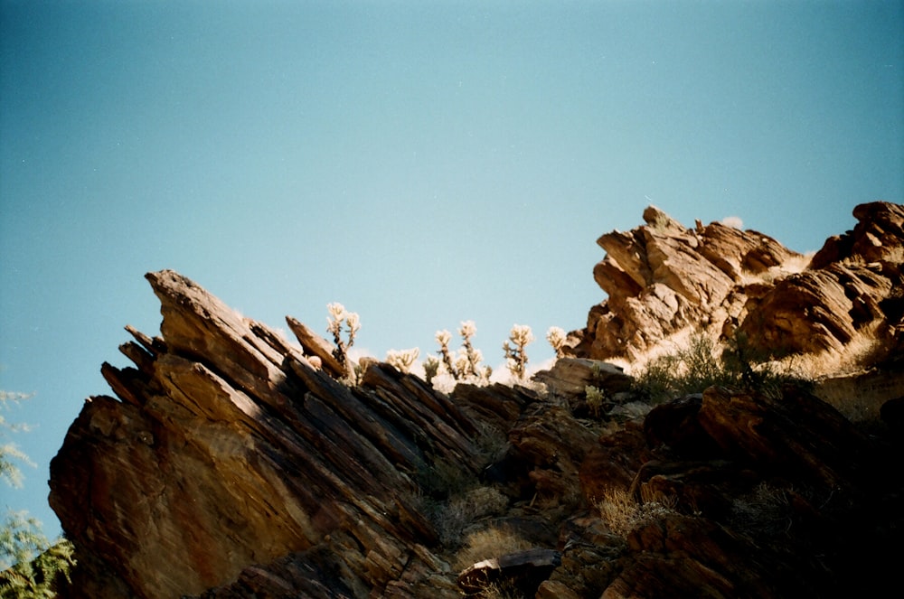 brown formation stone