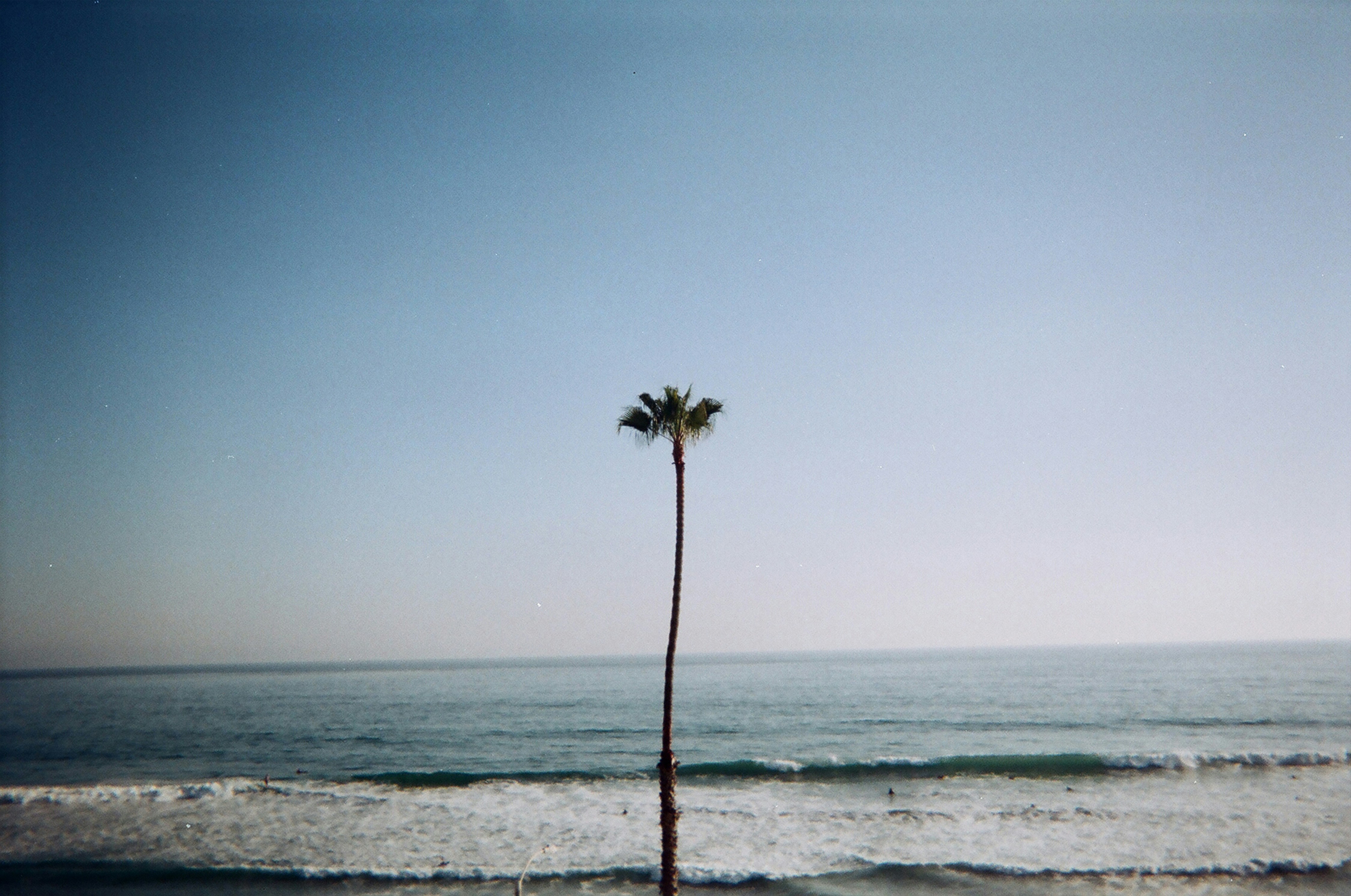 Photo by bhoogenboom