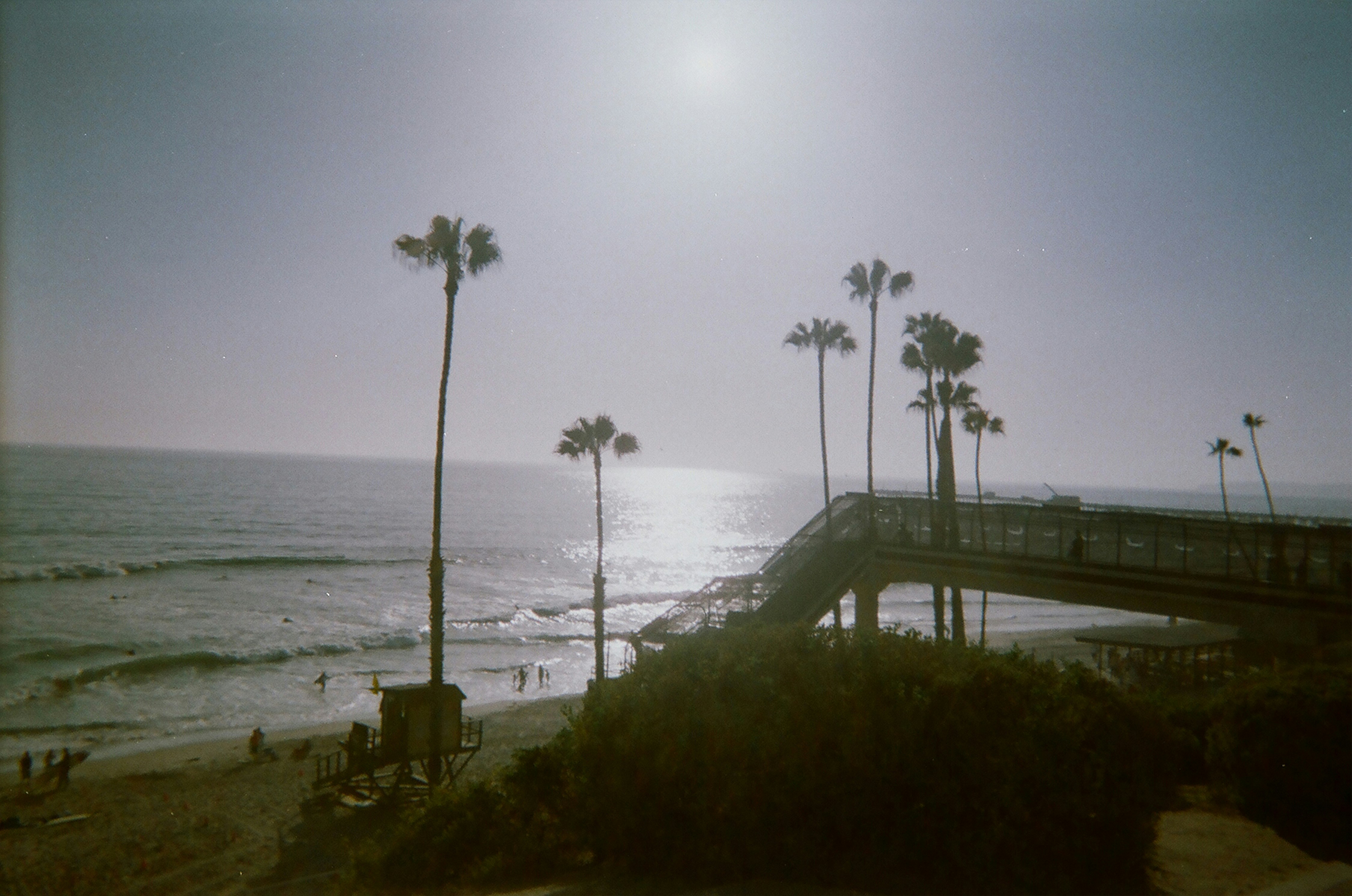 Photo by bhoogenboom