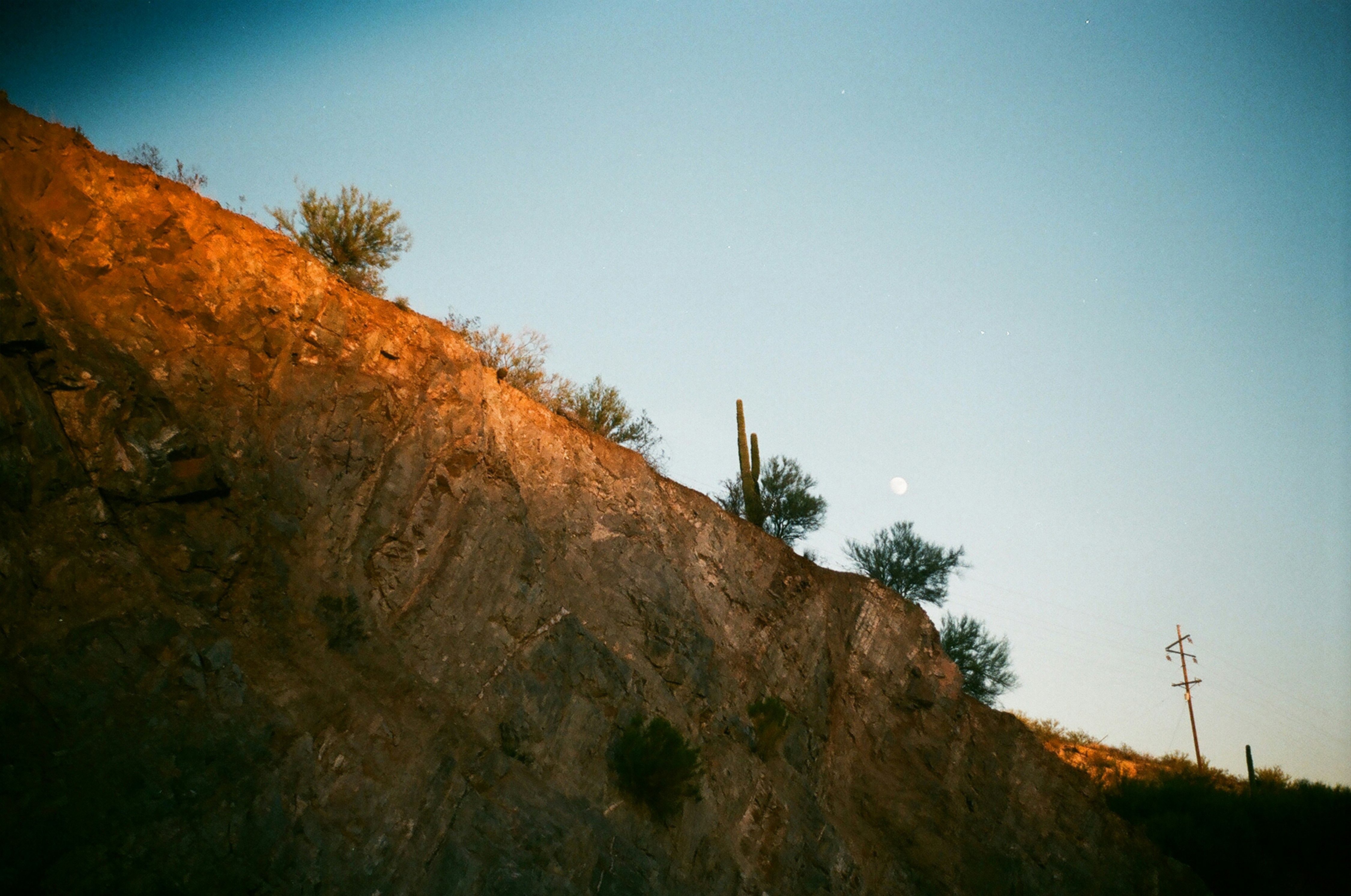 Photo by bhoogenboom