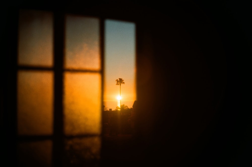 the sun is setting through a window with a view of a palm tree