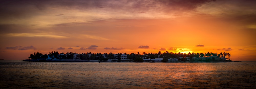 panoramic photography of city near body of water during sunset