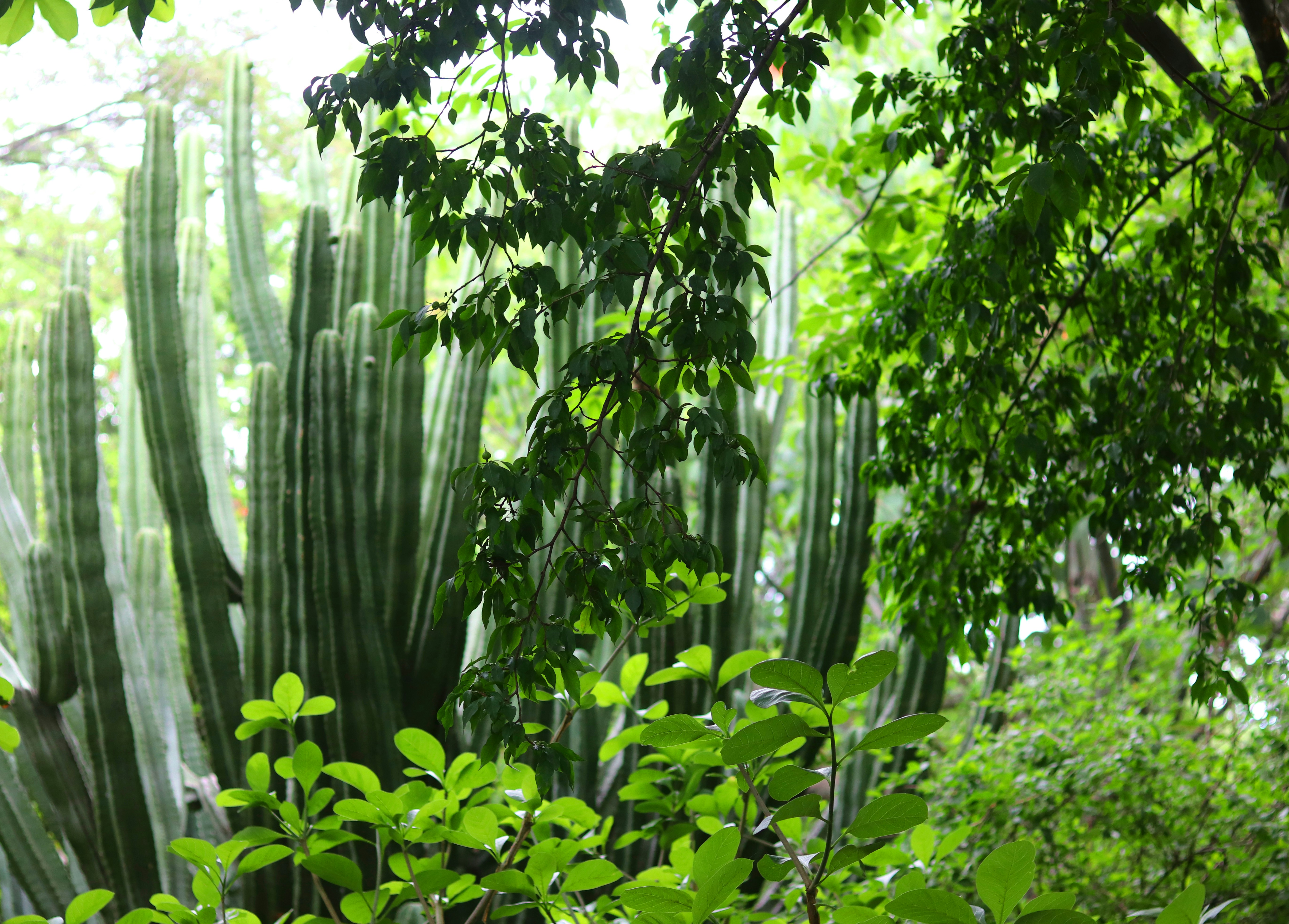 Competition and Cooperation: The Dance of Survival (image credits: unsplash)