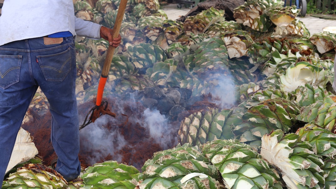 man wearing blue denim jeans, Mezcalería El Rey de Matatlán