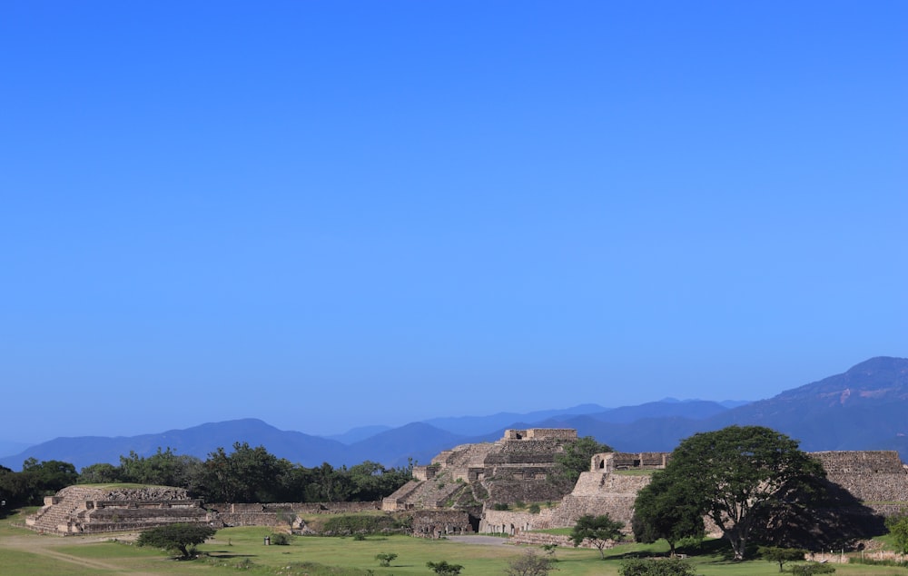 houses and trees under blue sky