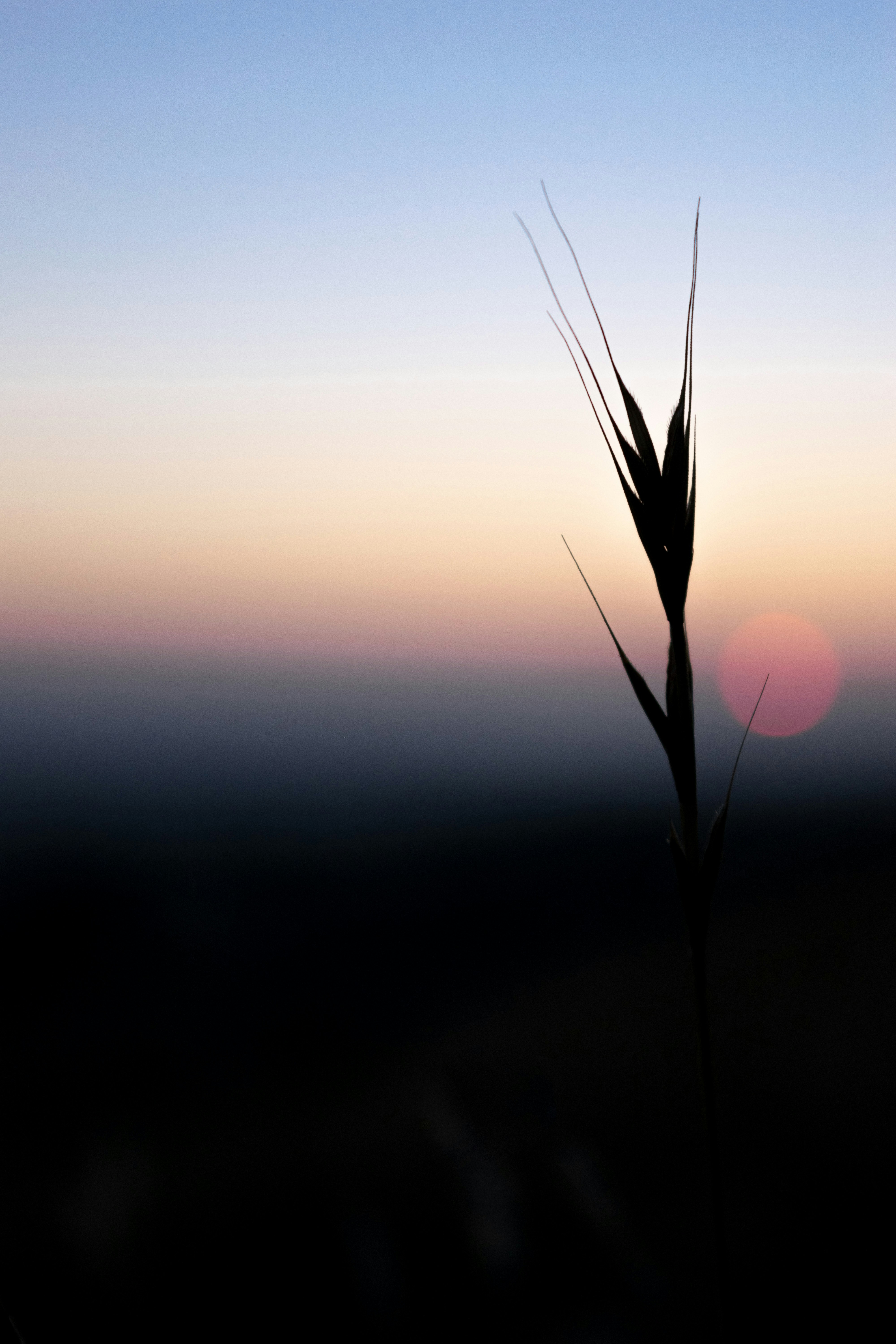 Photo by sweetpeagina228