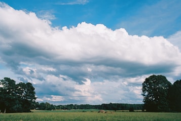 A vast field of green grass extends under a bright blue sky filled with large, fluffy white clouds. Trees frame the scene on either side, creating a sense of openness and tranquility. The landscape appears expansive and serene.