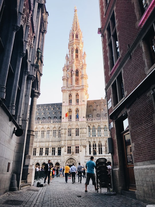 people outside brown concrete building in Grand Place, Brussels Town Hall Belgium