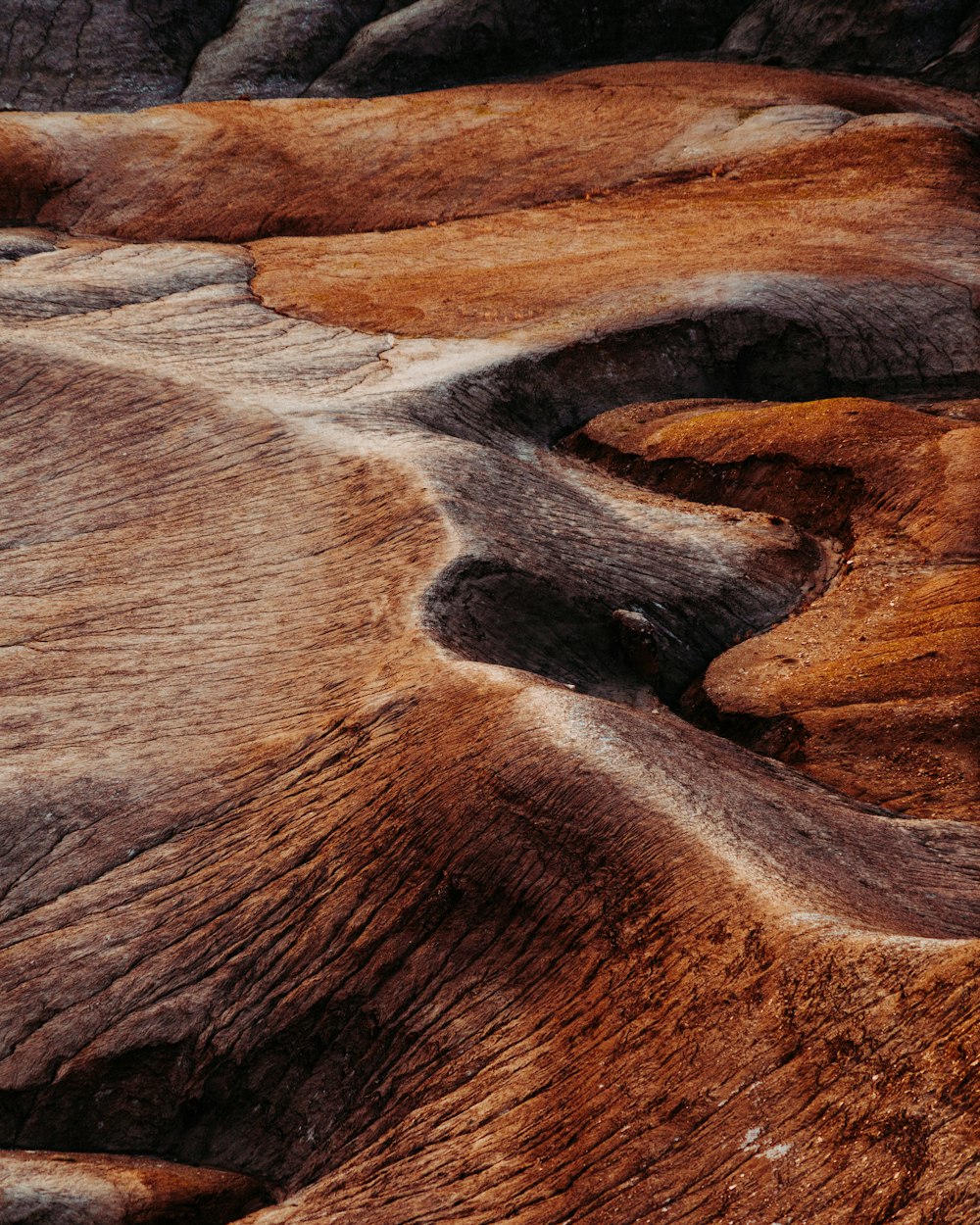 Fotografía del desierto