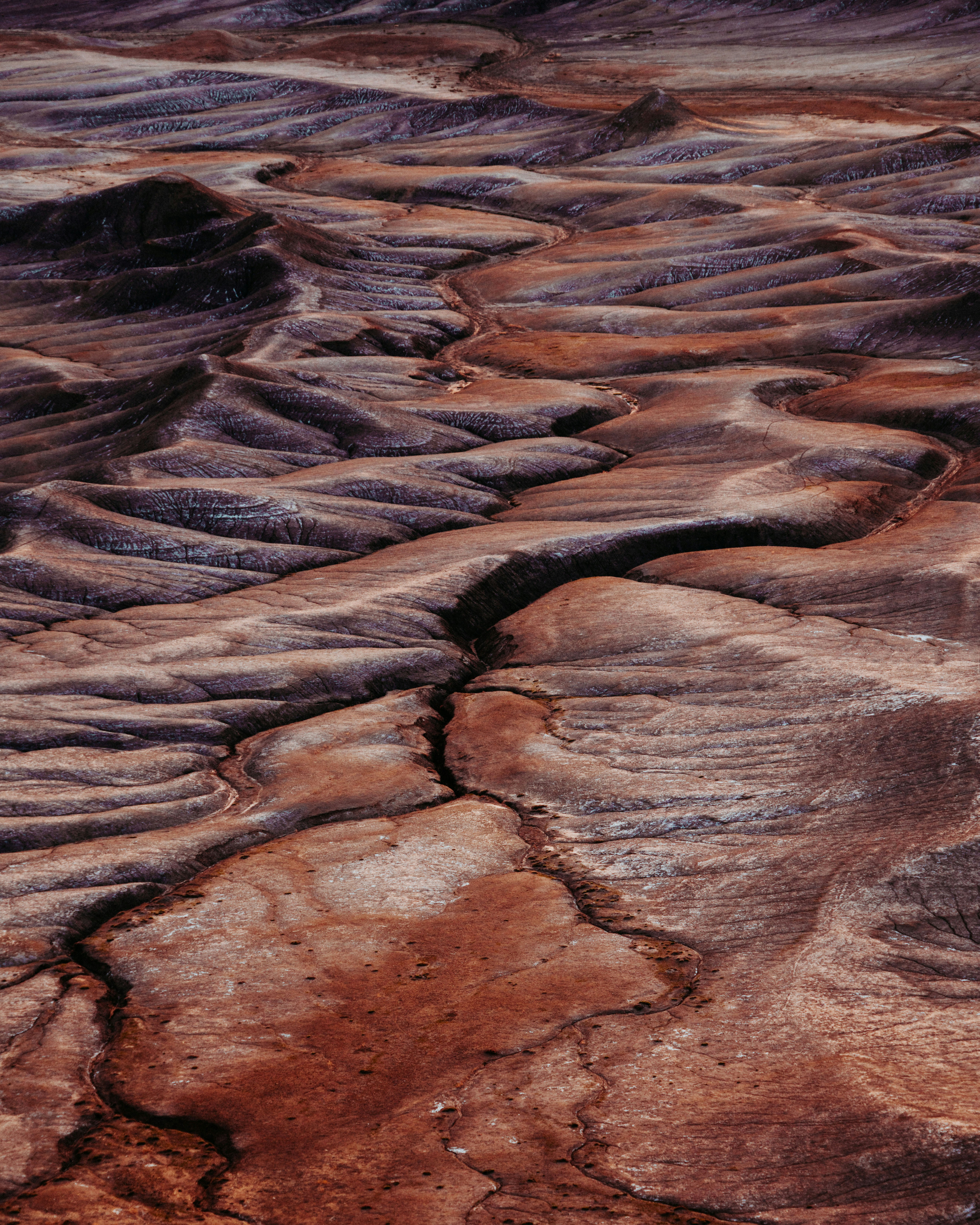 brown desert
