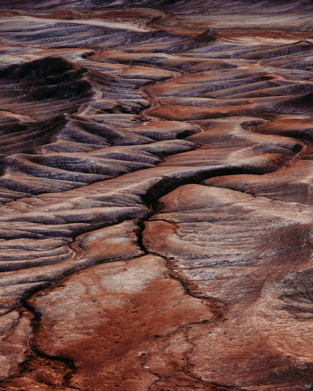 brown desert