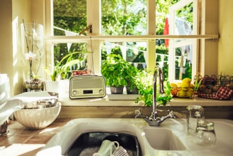 dishes in sink