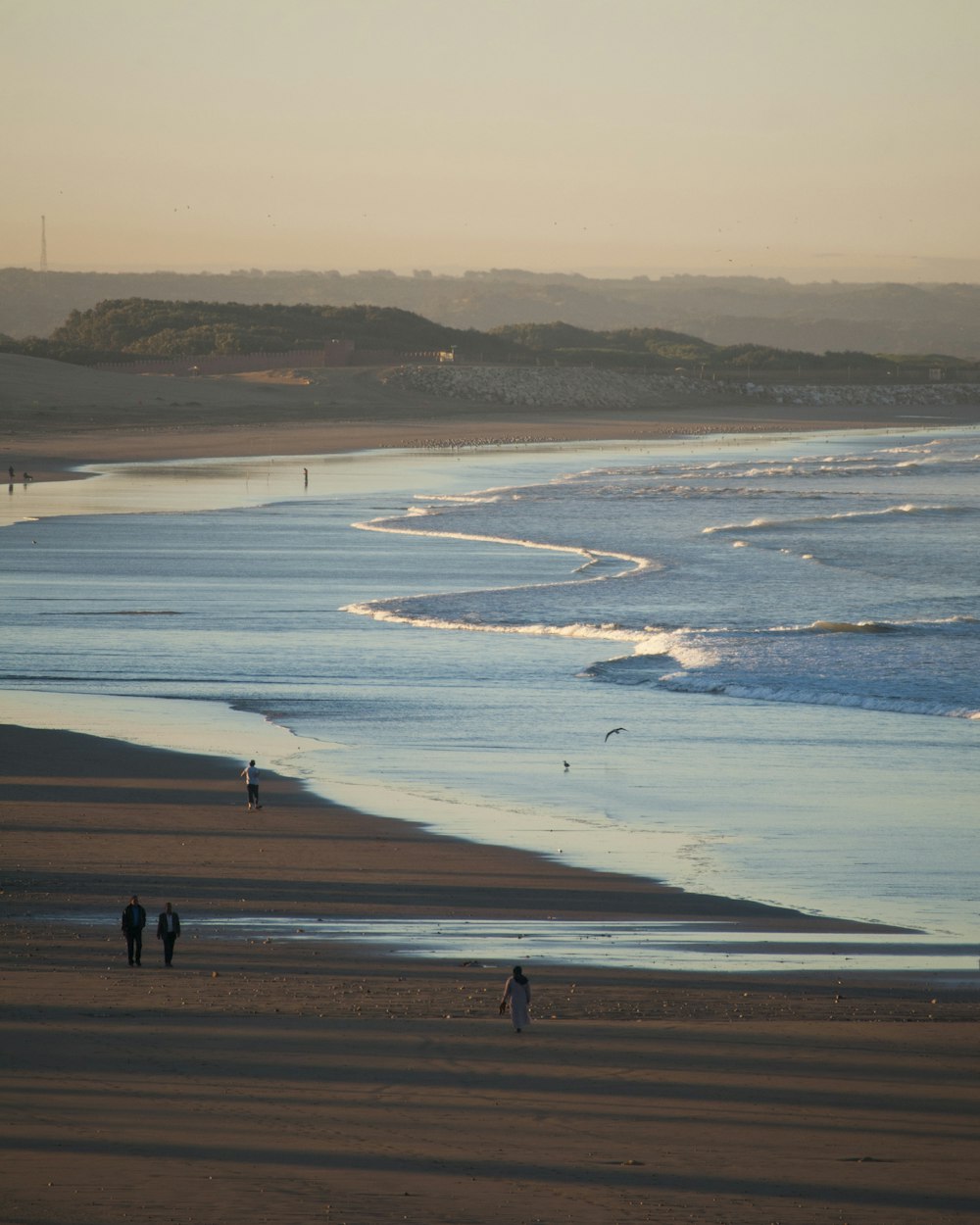 personnes marchant près du rivage