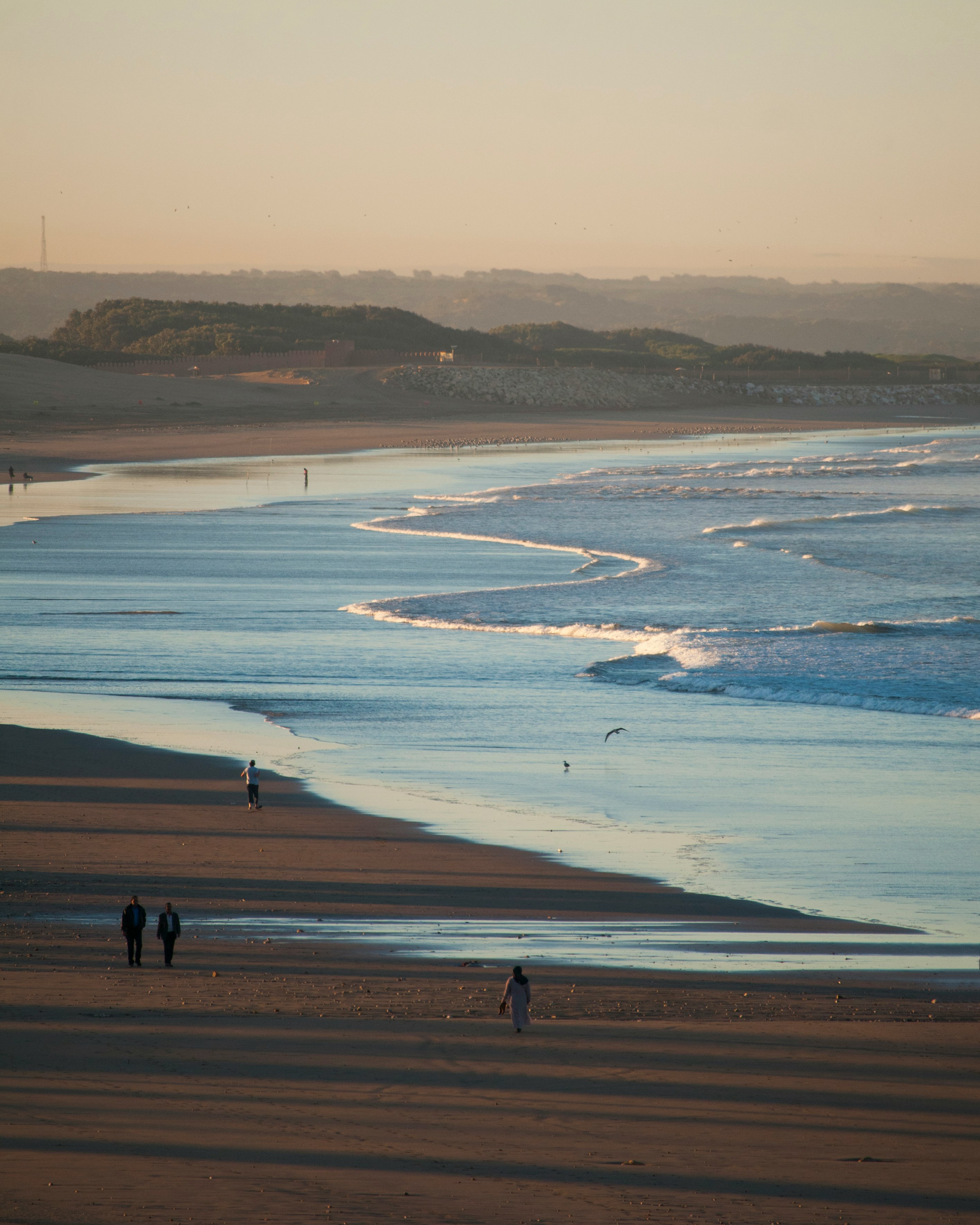 people walking near shore