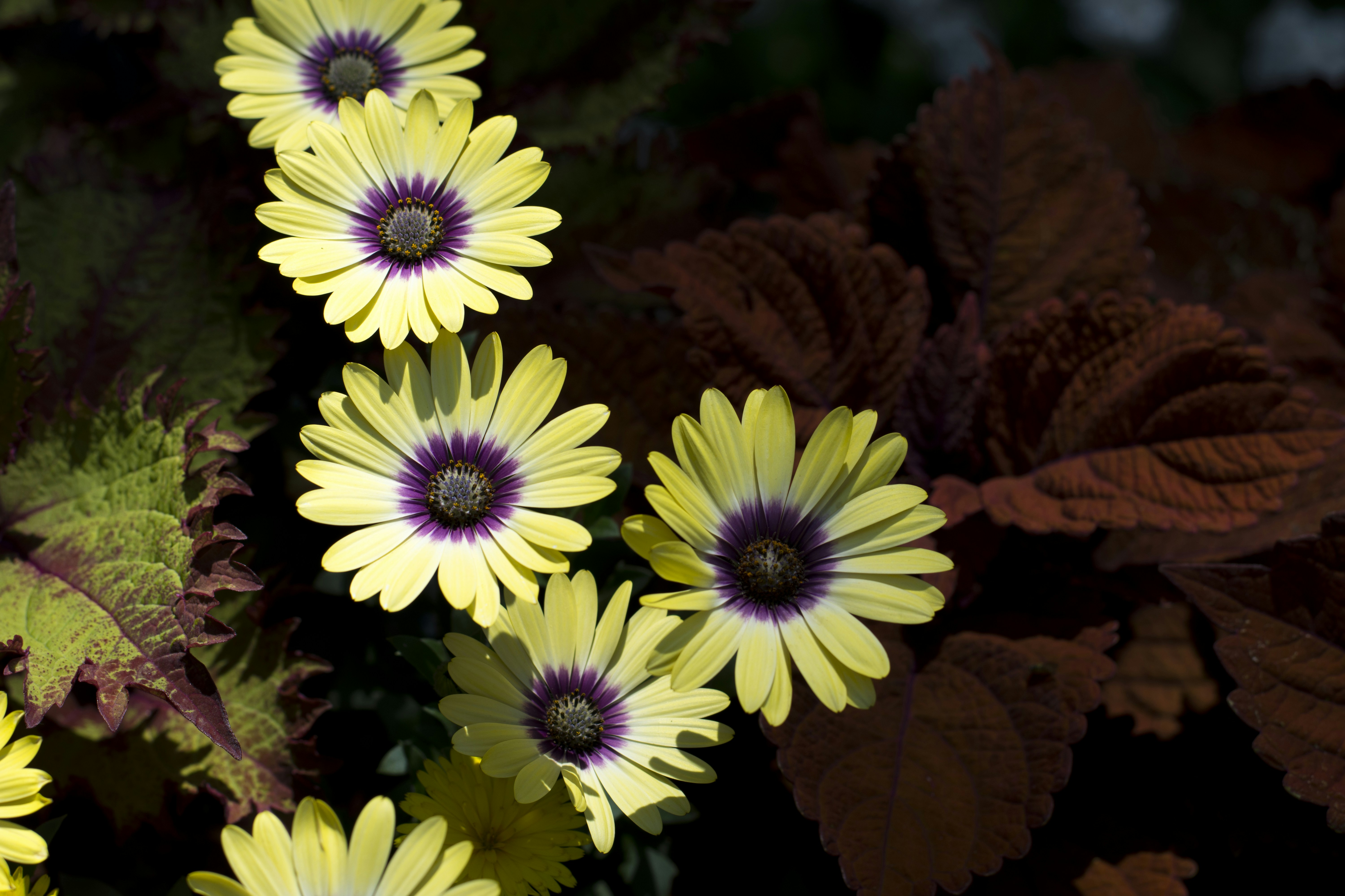 Photo by littlebearhugs