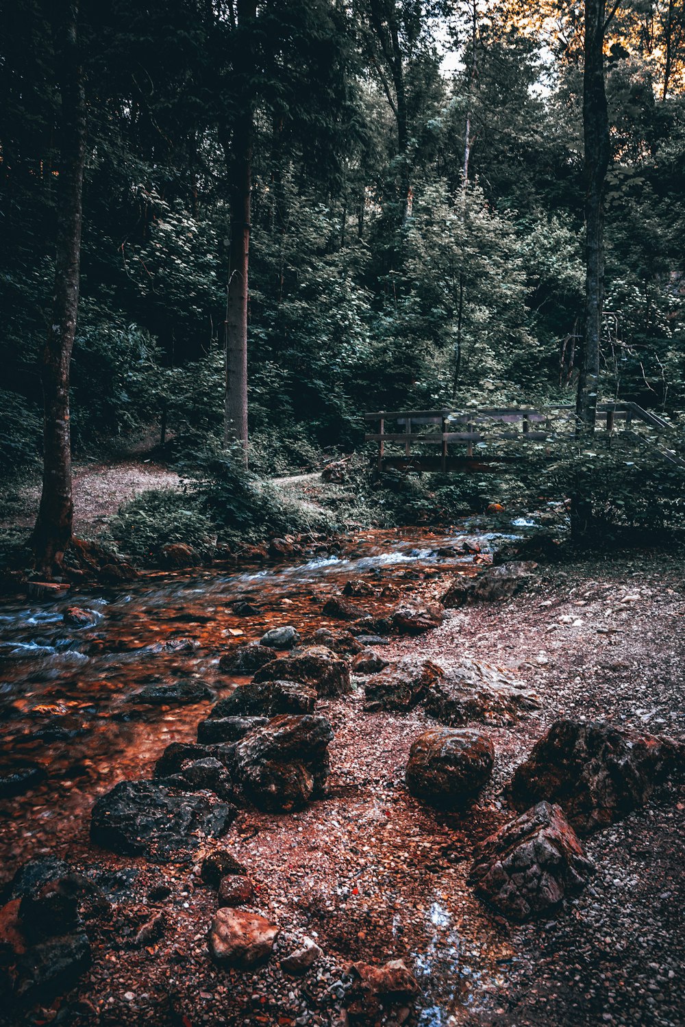 brown stones by a stream