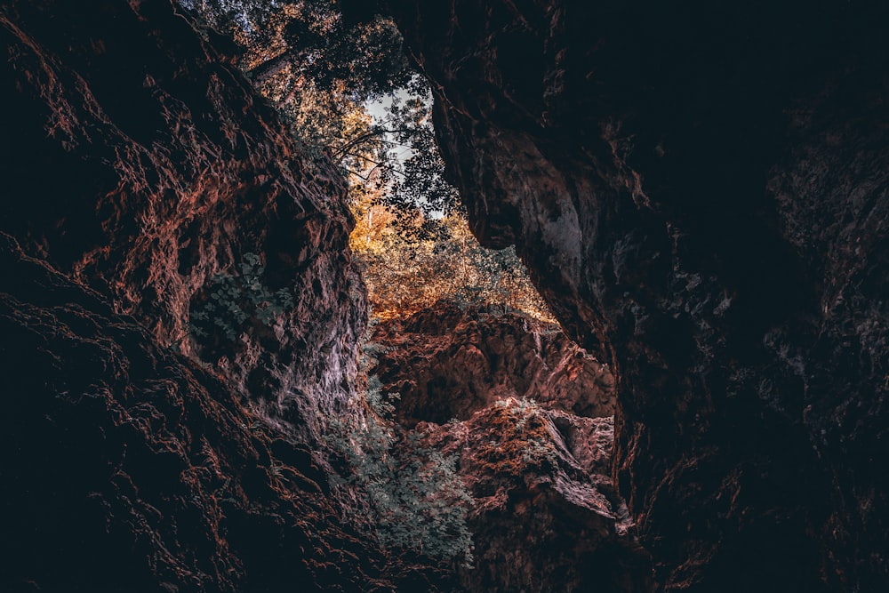 brown rock cave